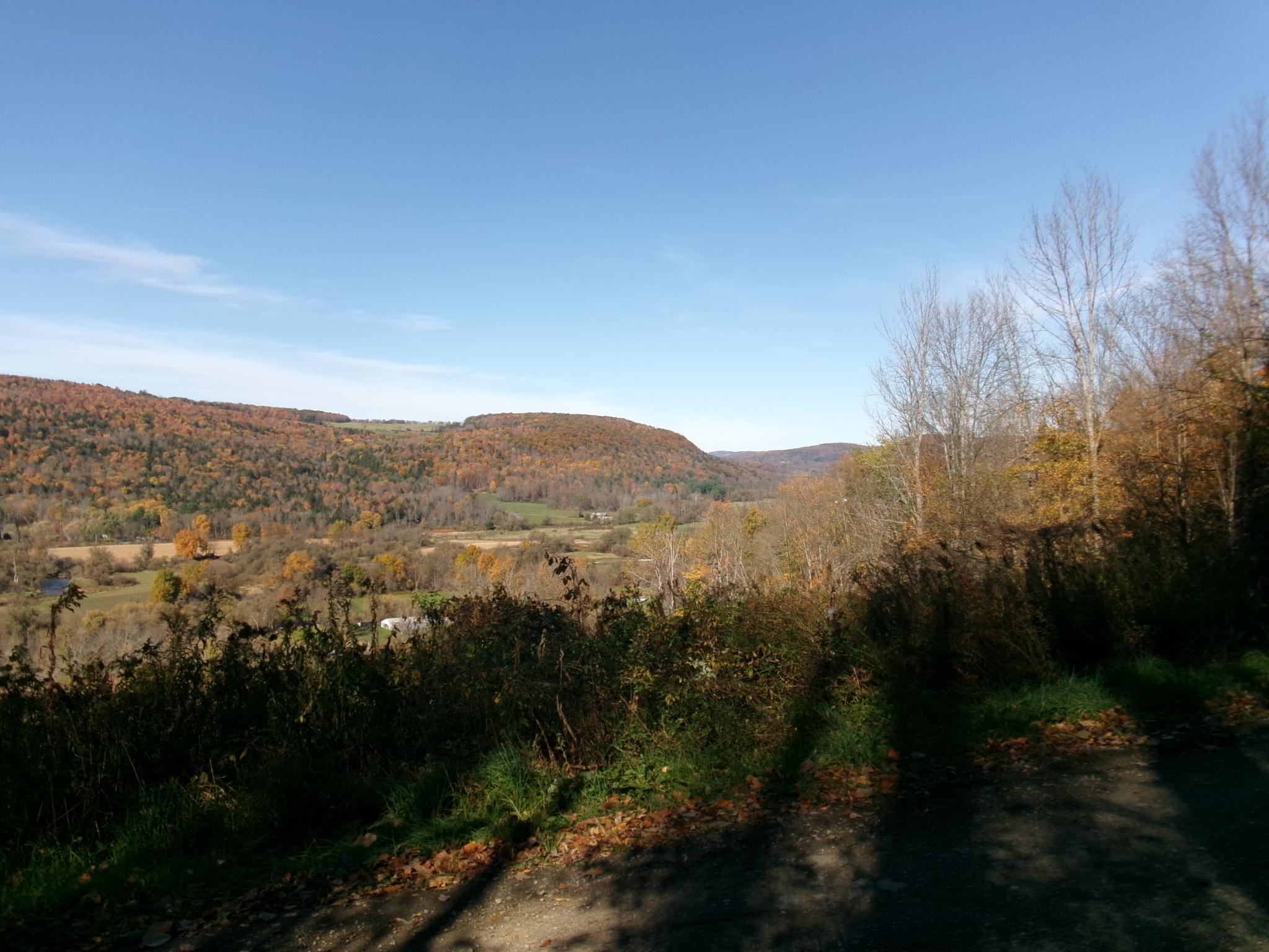 Listing Image 48