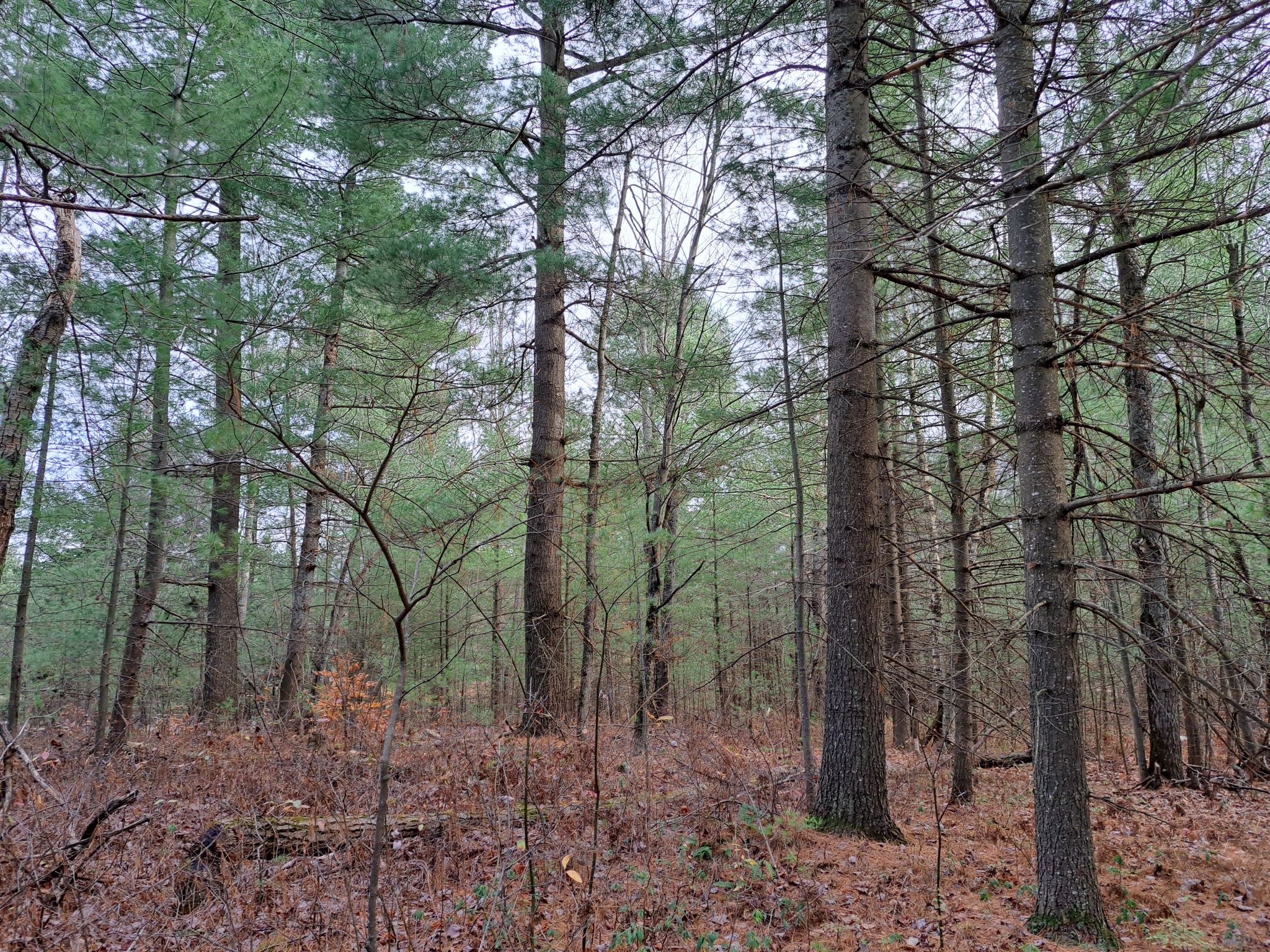 Listing Image 34