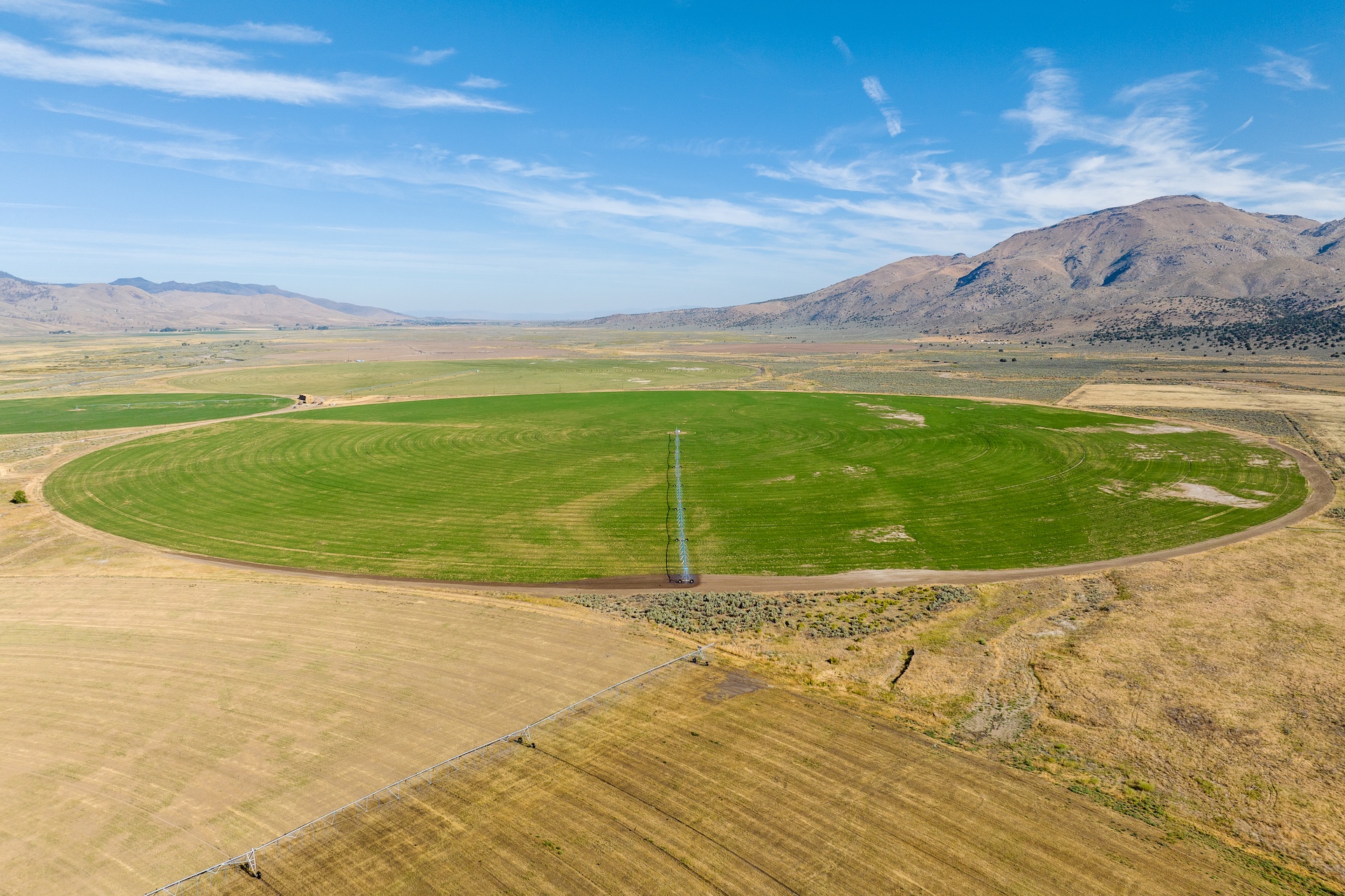 Constantia Ranch
