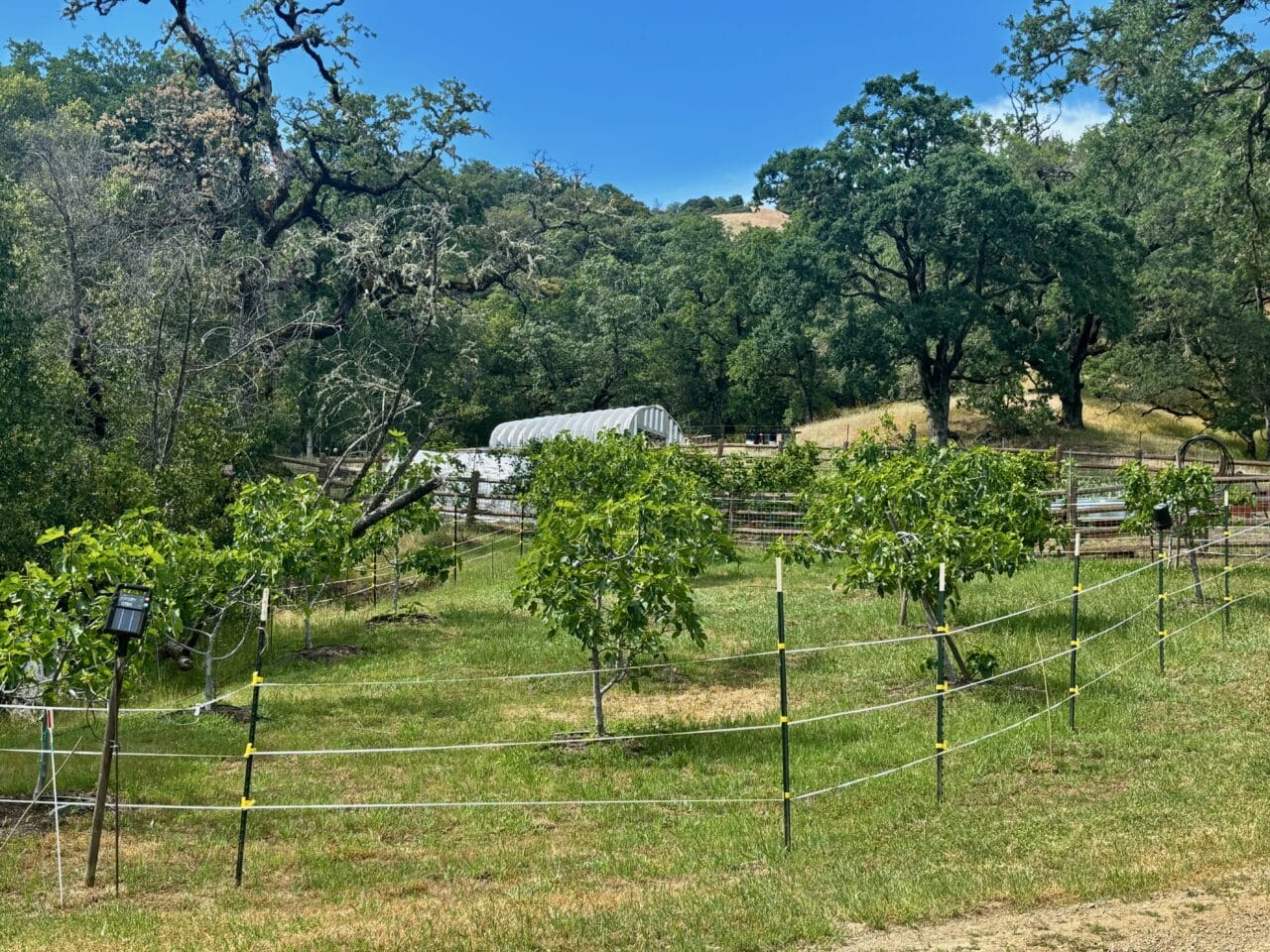 McNab Crag Ranch