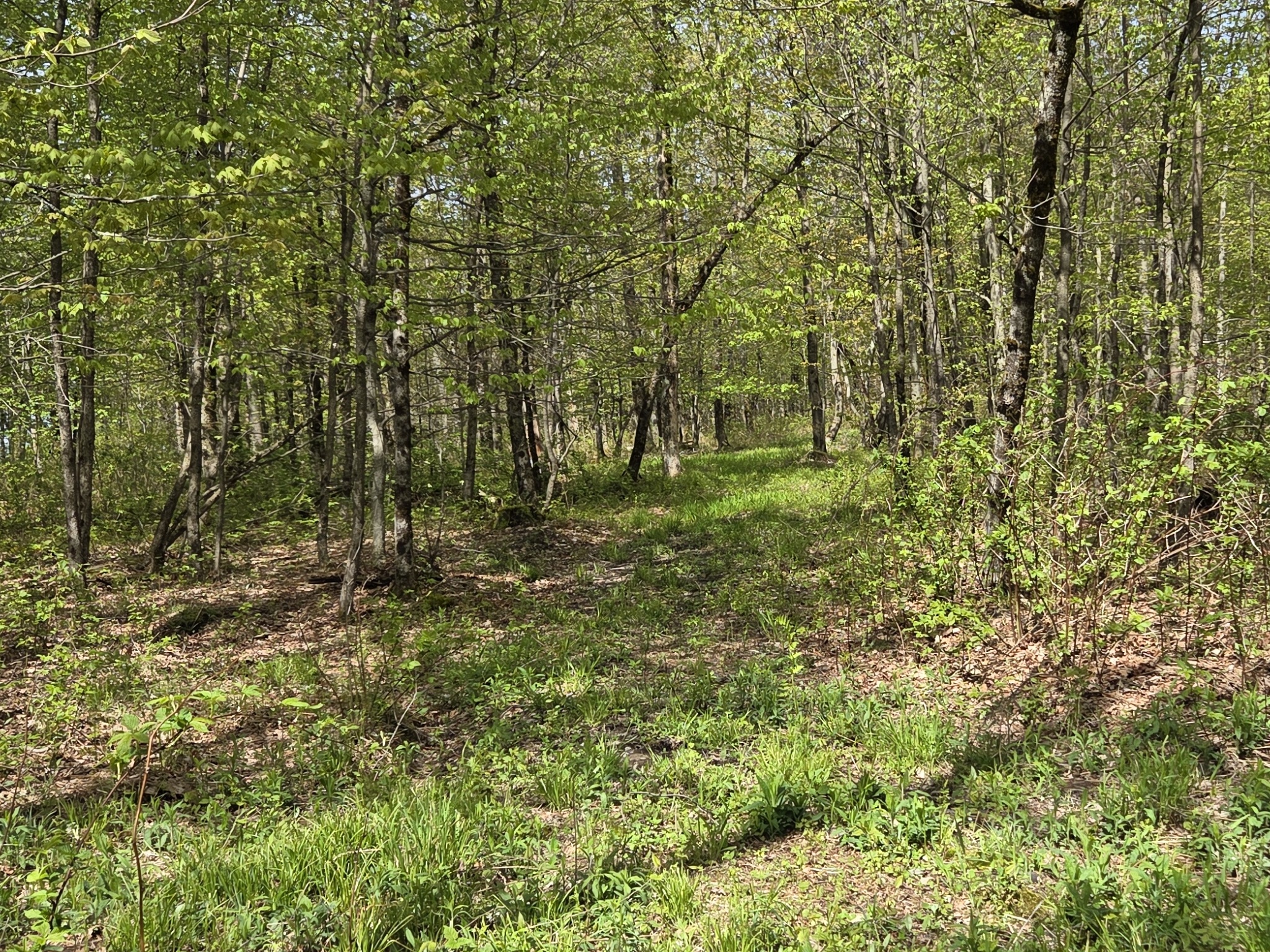 Listing Image 46
