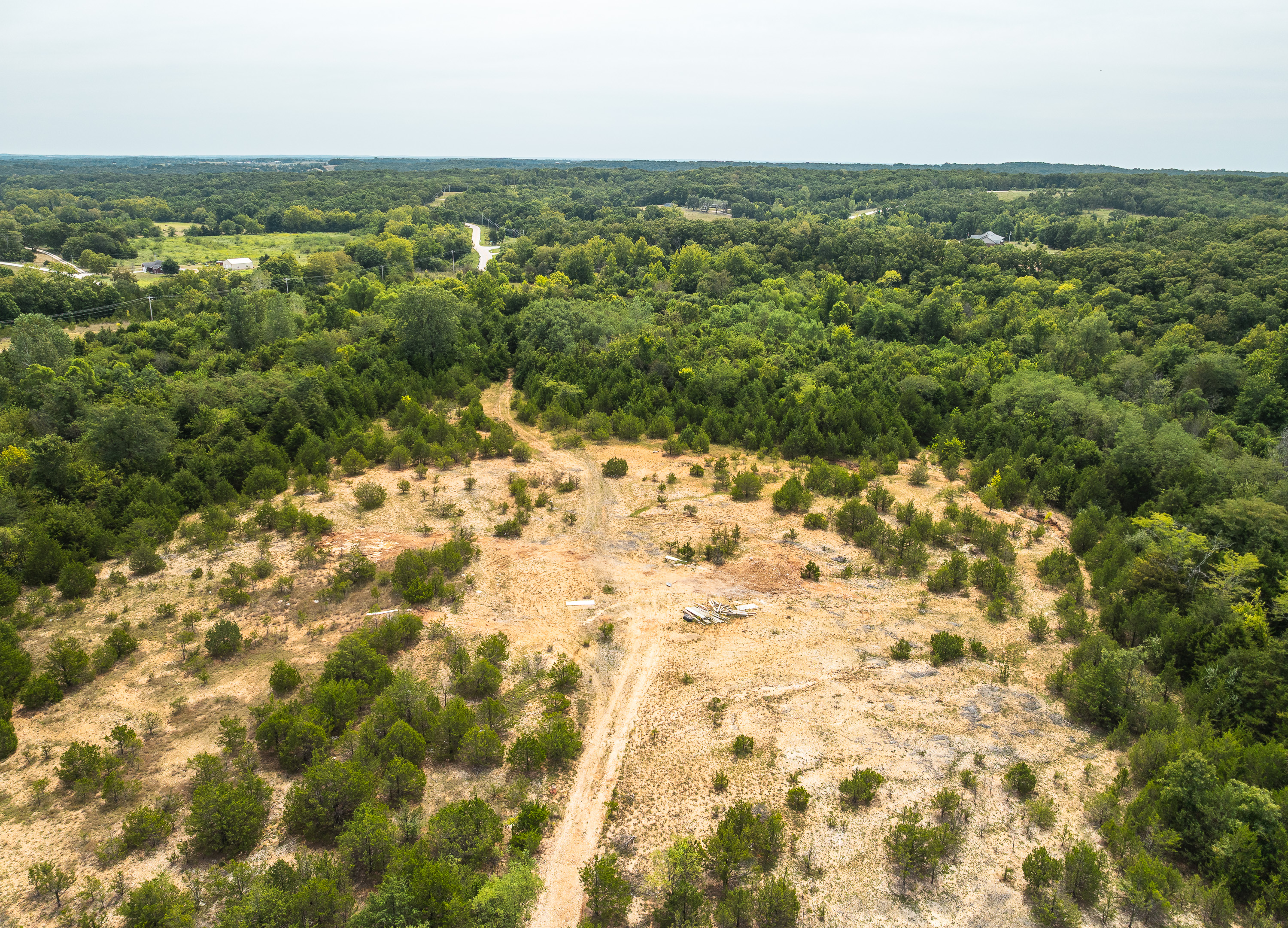 Hickory Hill Hollow