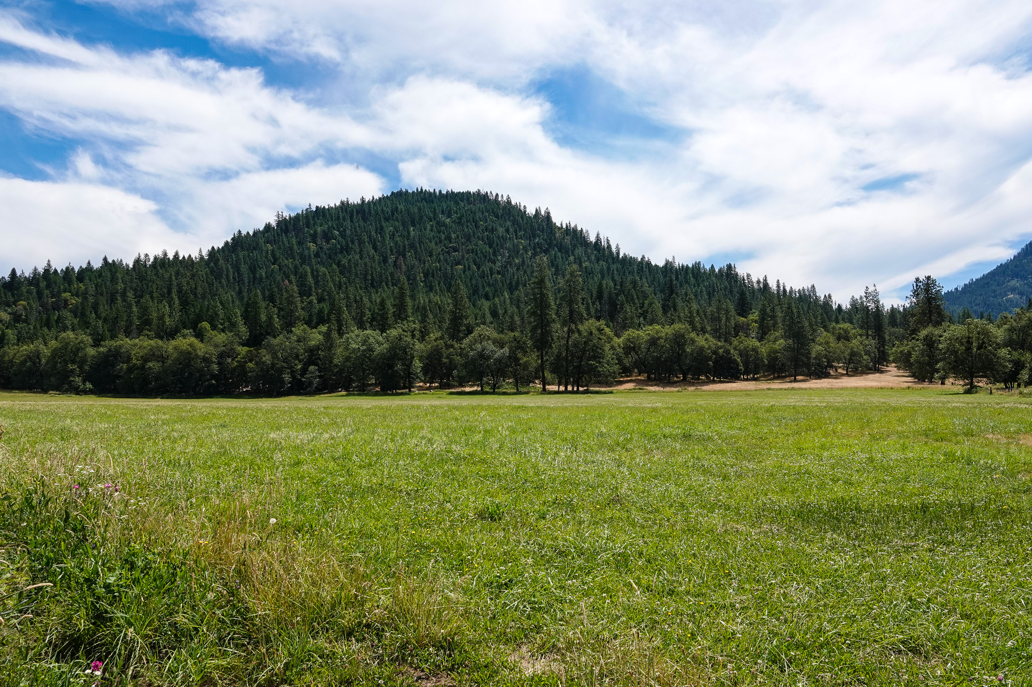 Listing Image 69
