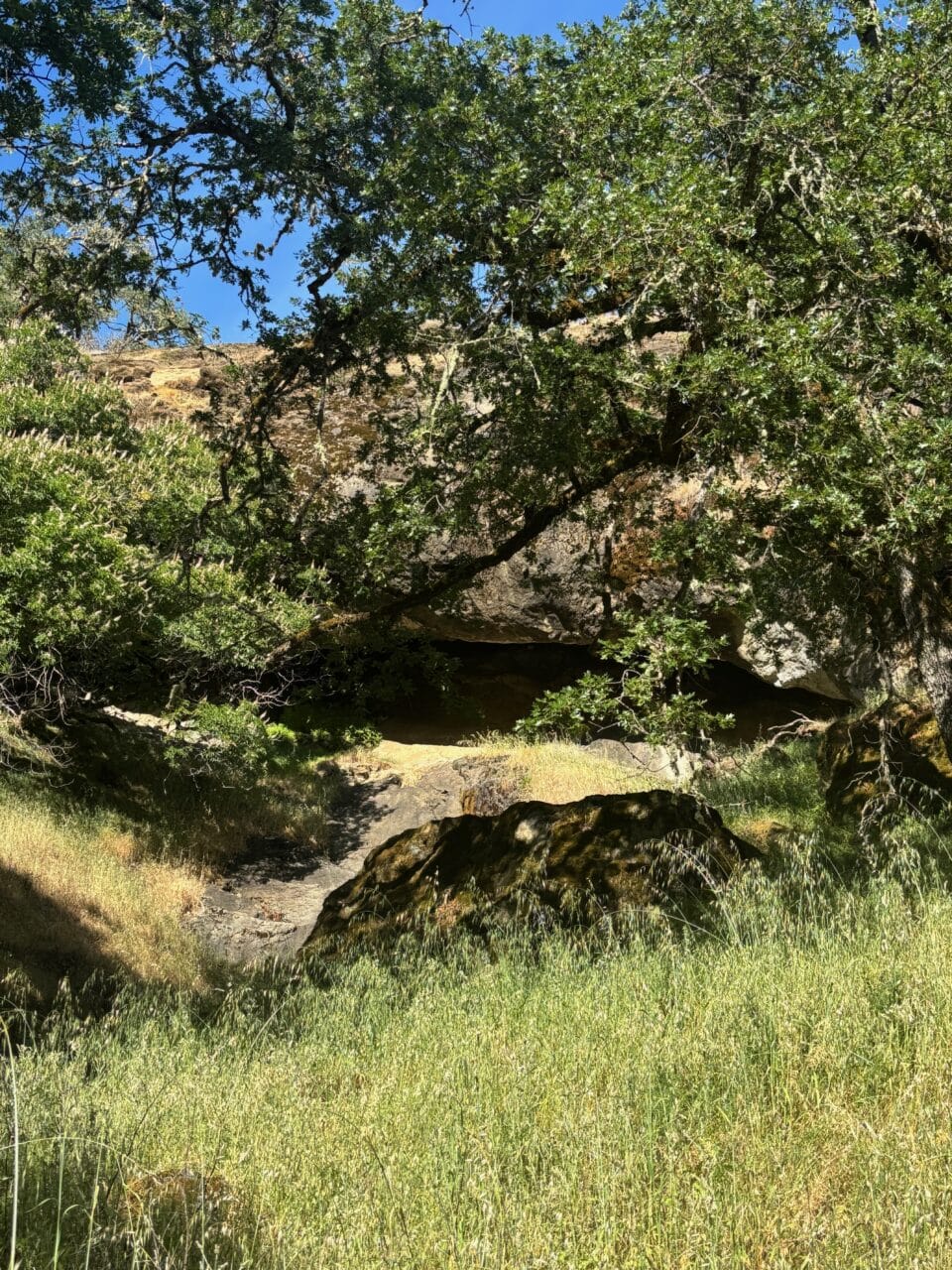 McNab Crag Ranch