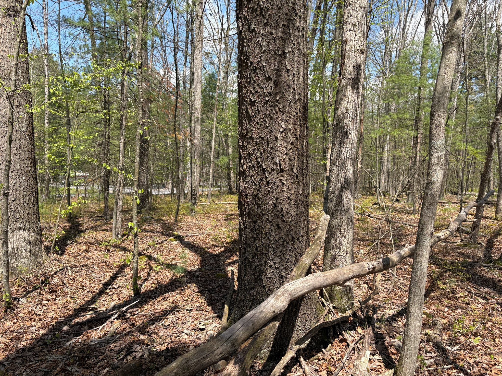 Listing Image 21