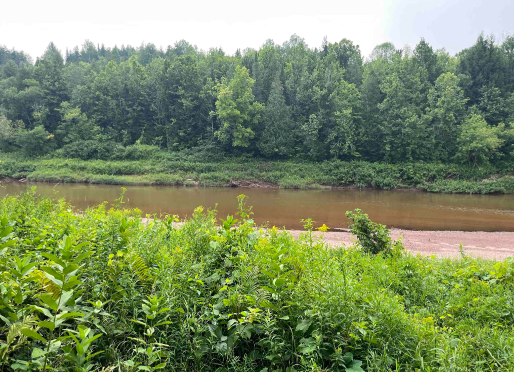 River Bend Retreat 50184268