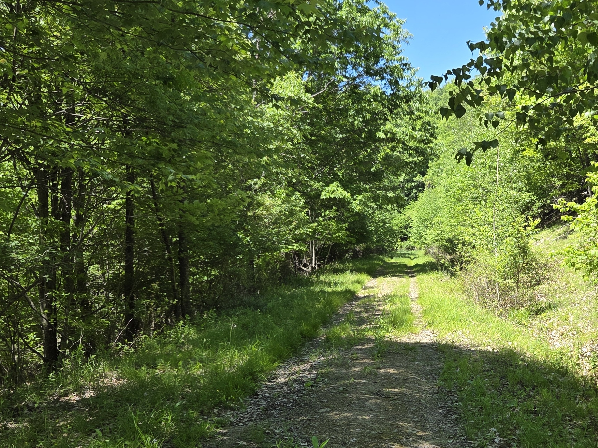Listing Image 45