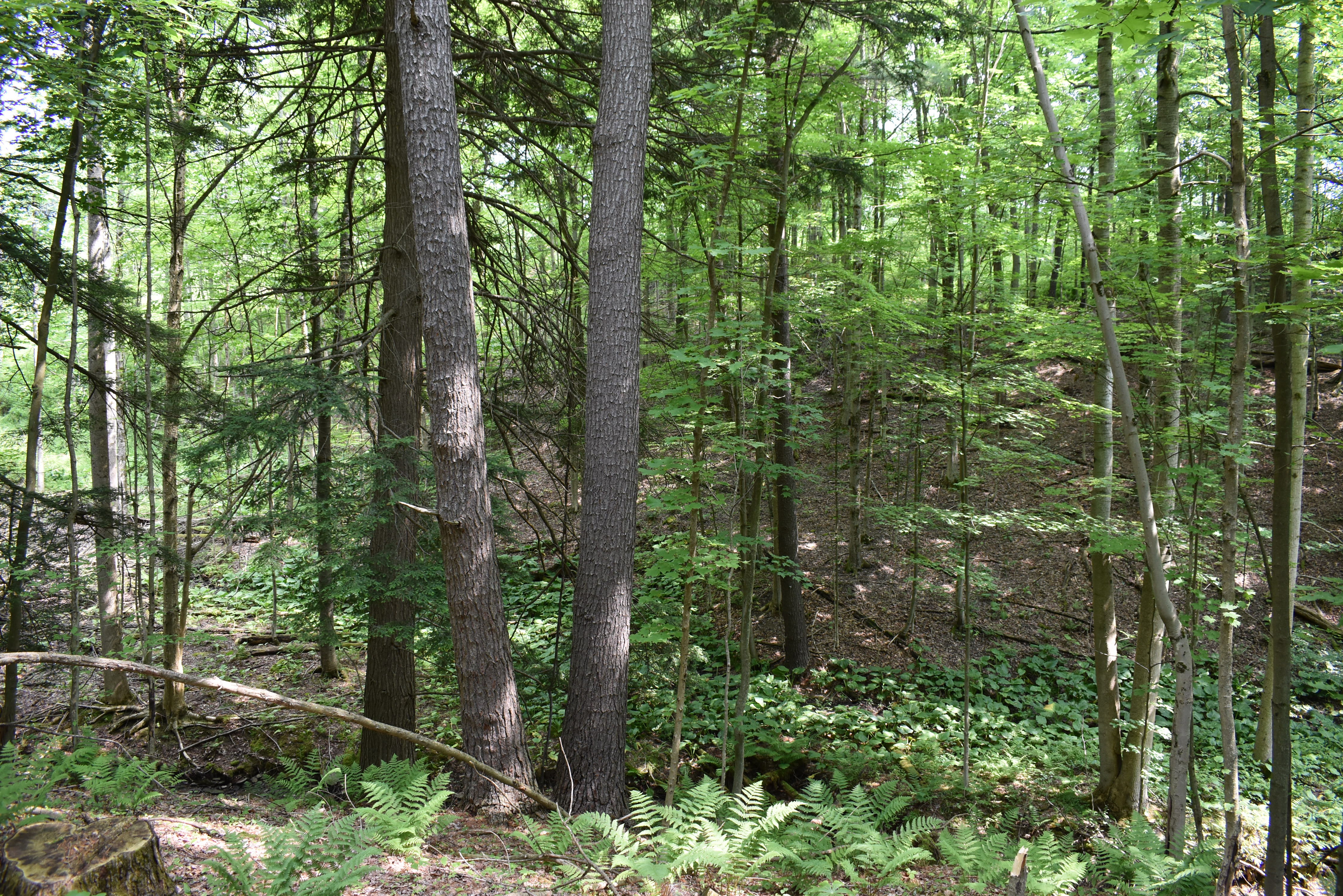 Listing Image 63