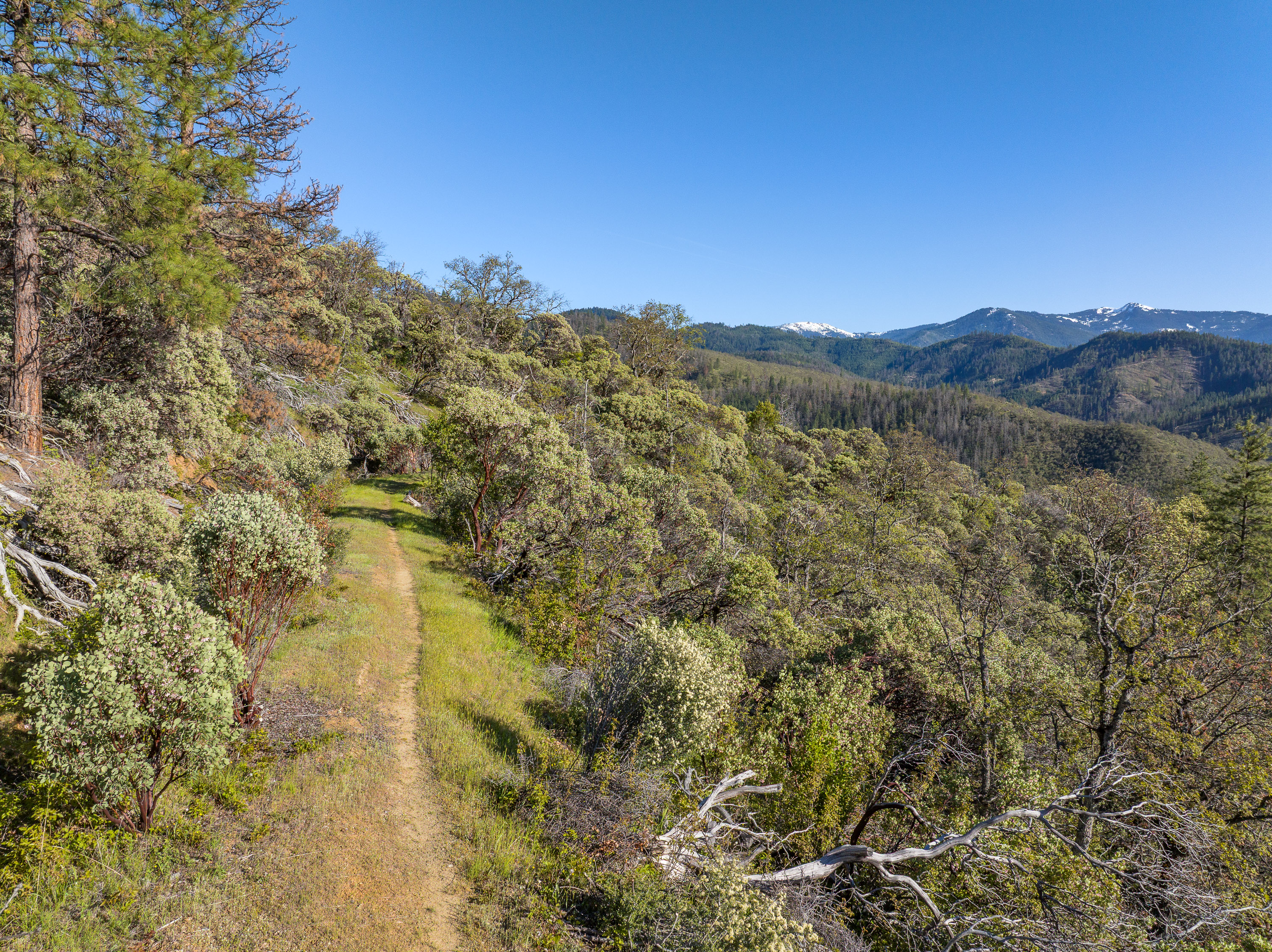 Wolf Gulch Farm - 7000 Little Applegate Road