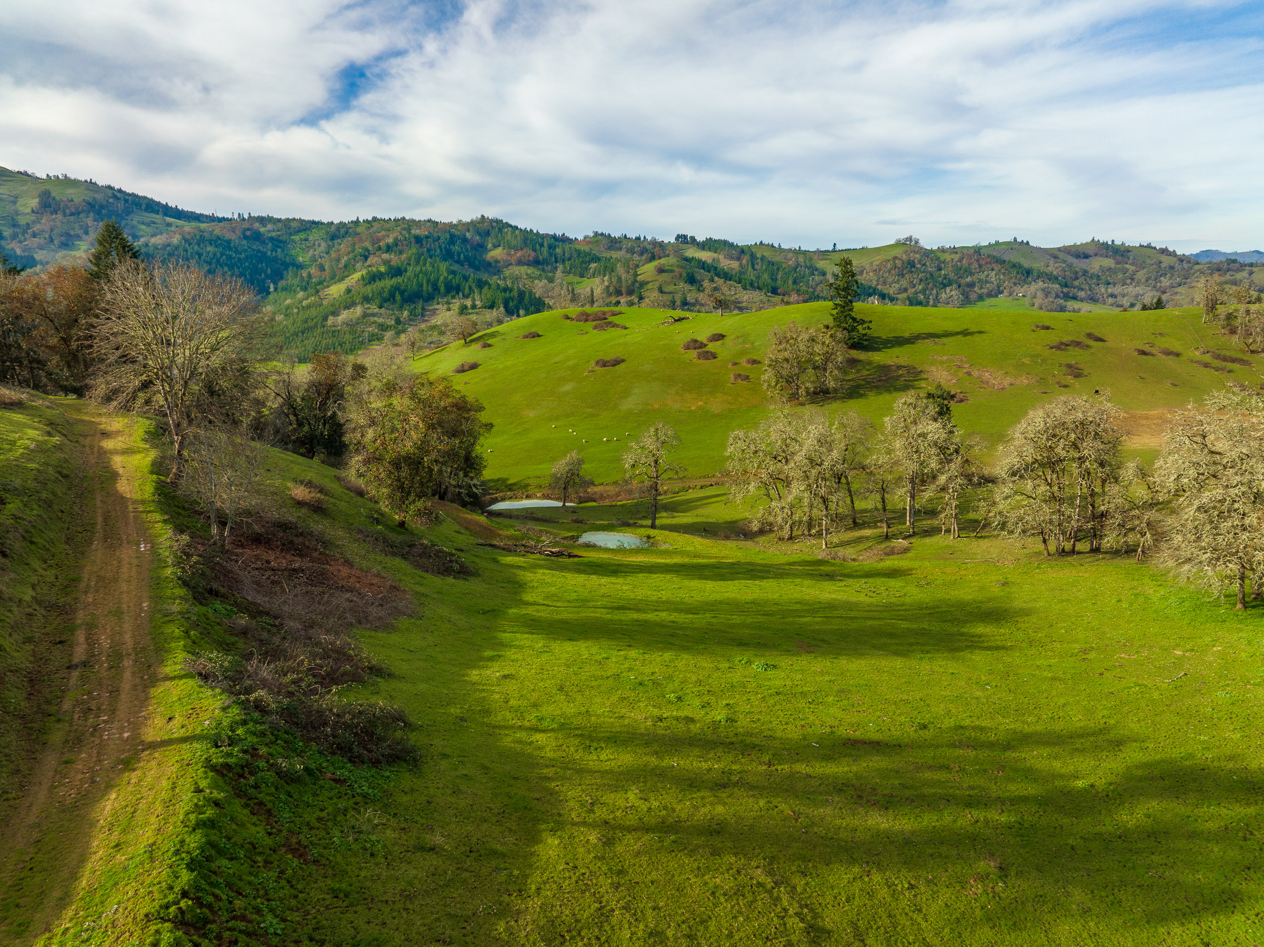 N Umpqua Ranch - 10181 N Umpqua Hwy