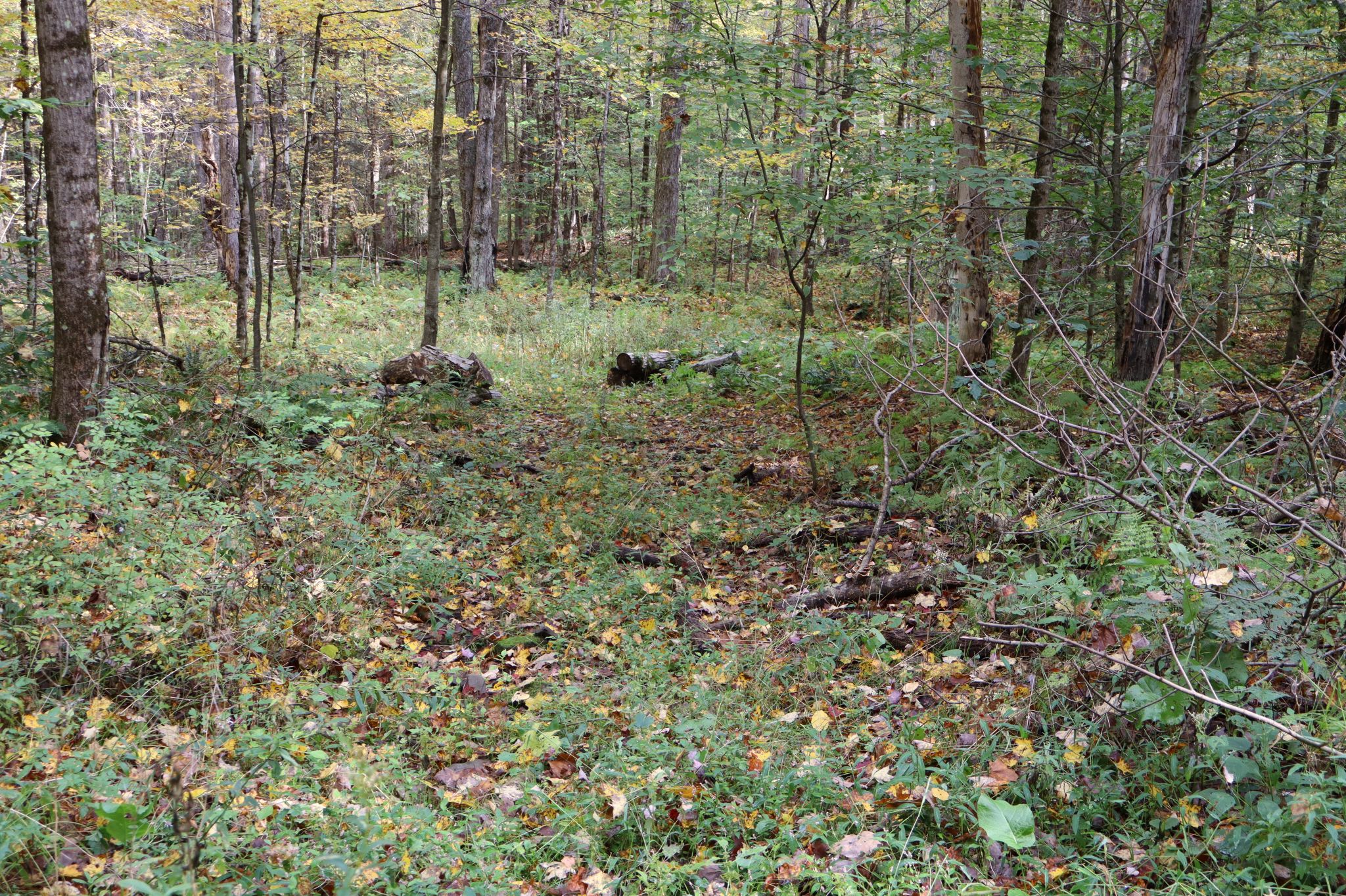 Listing Image 24