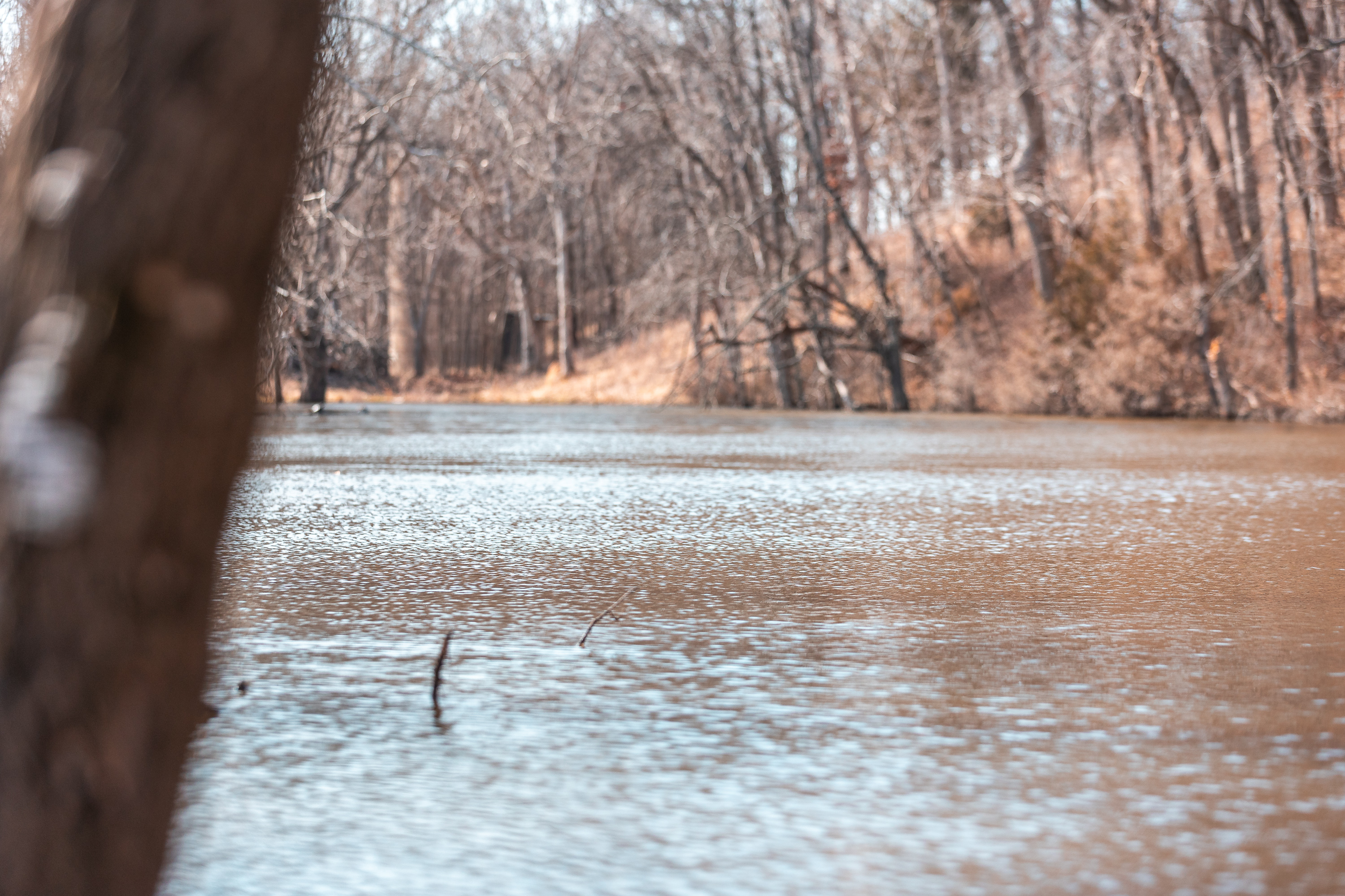 Gasconade Angus Ranch