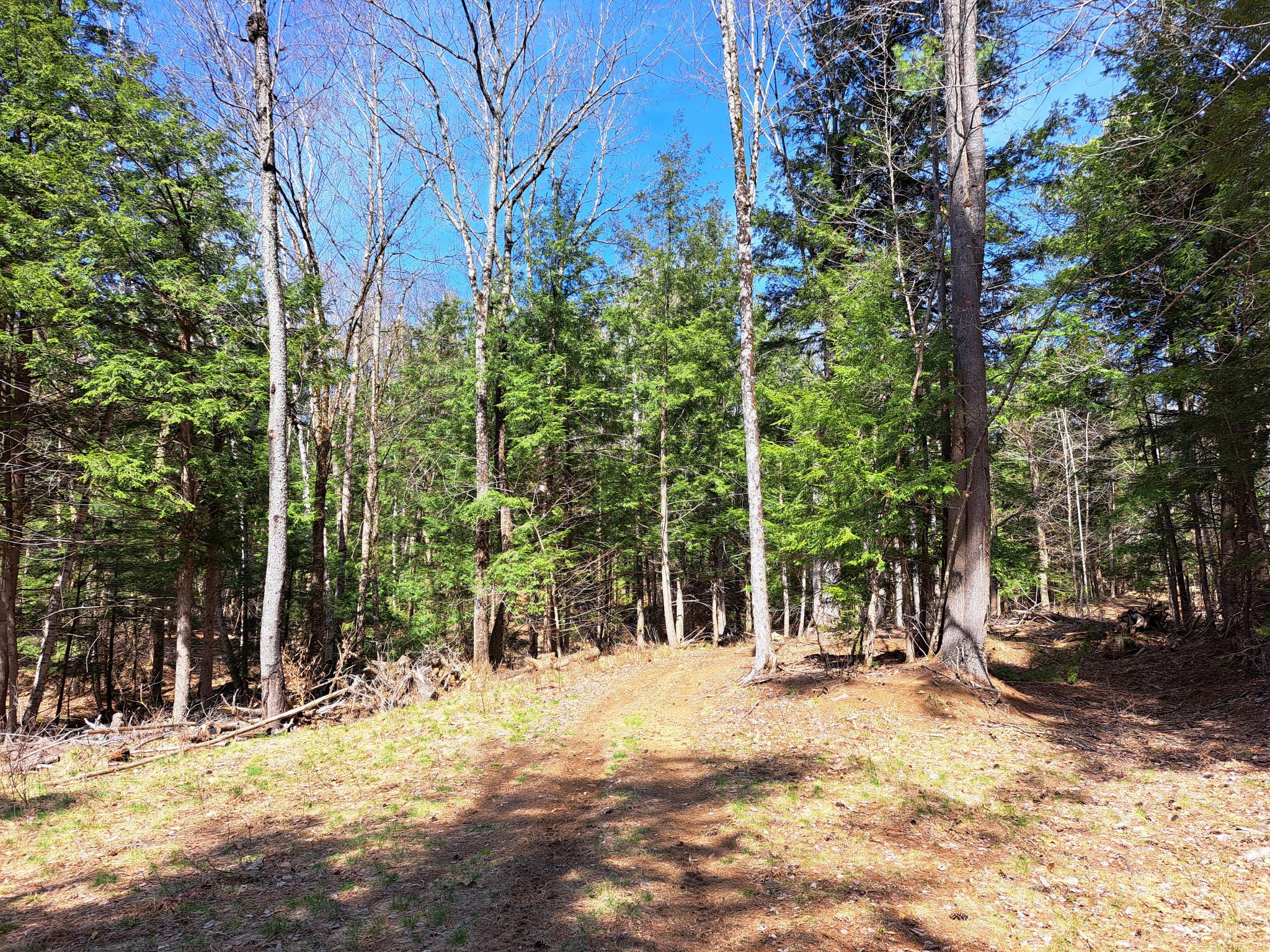 Listing Image 32