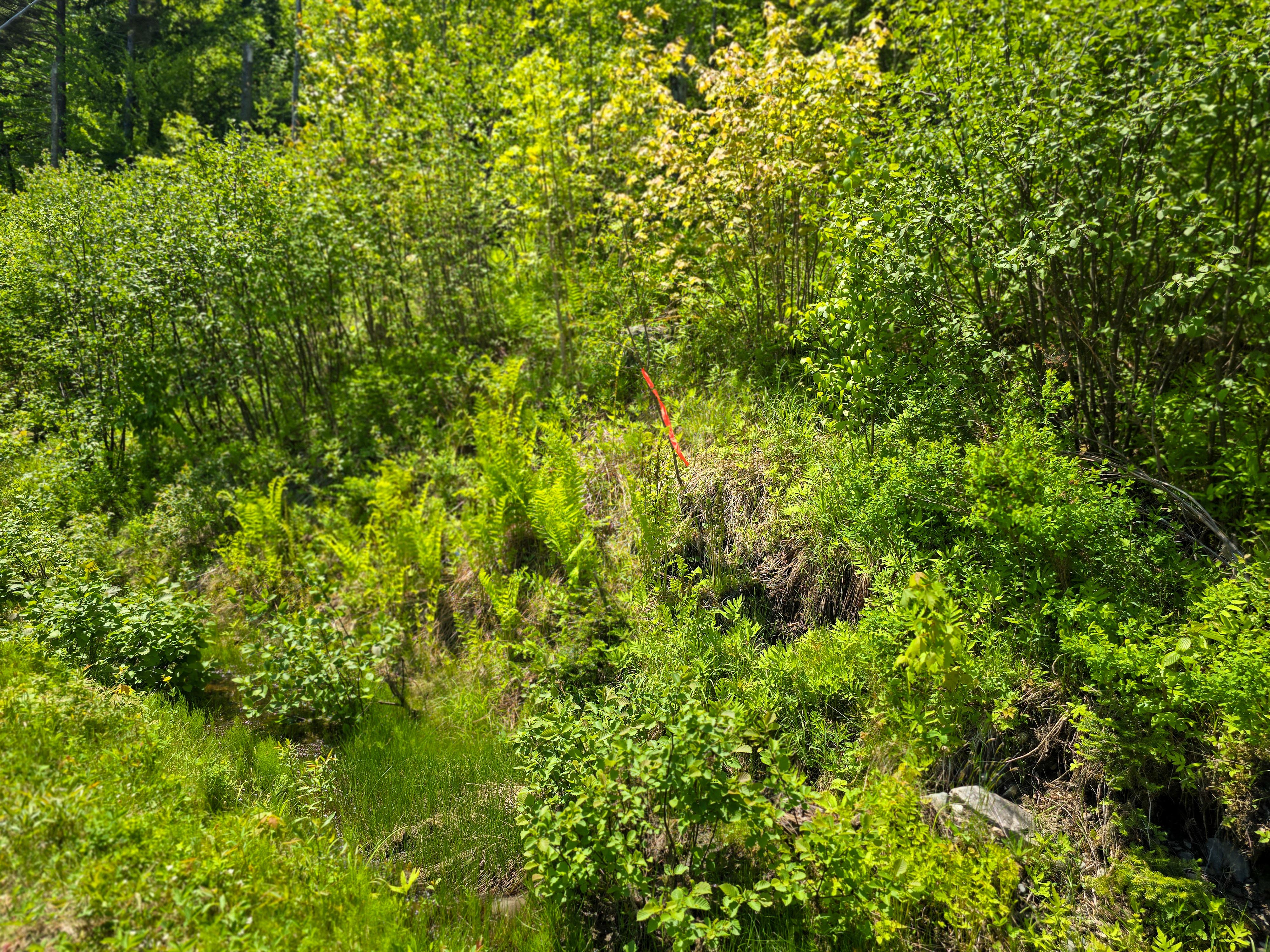 150 Spur Rd - Bloomfield