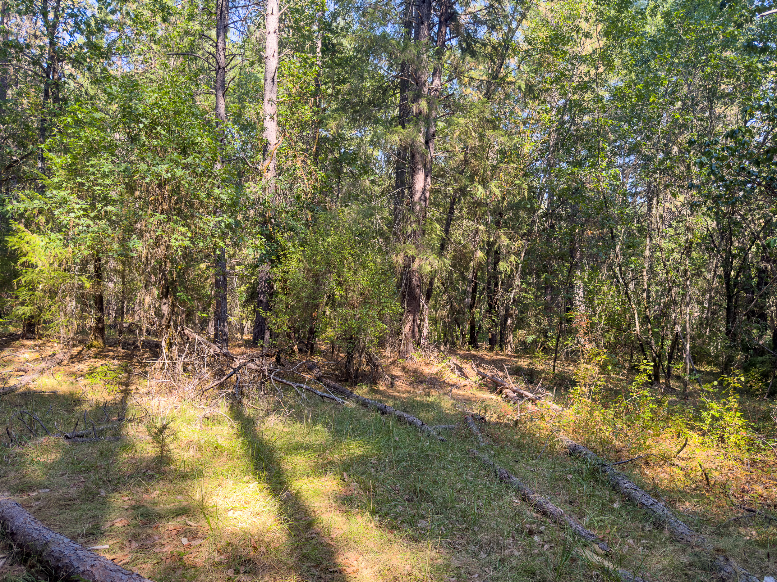 Pleasant Creek Road TL301