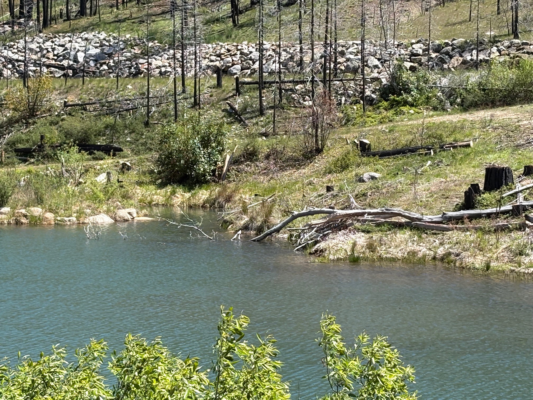Almay Ranch