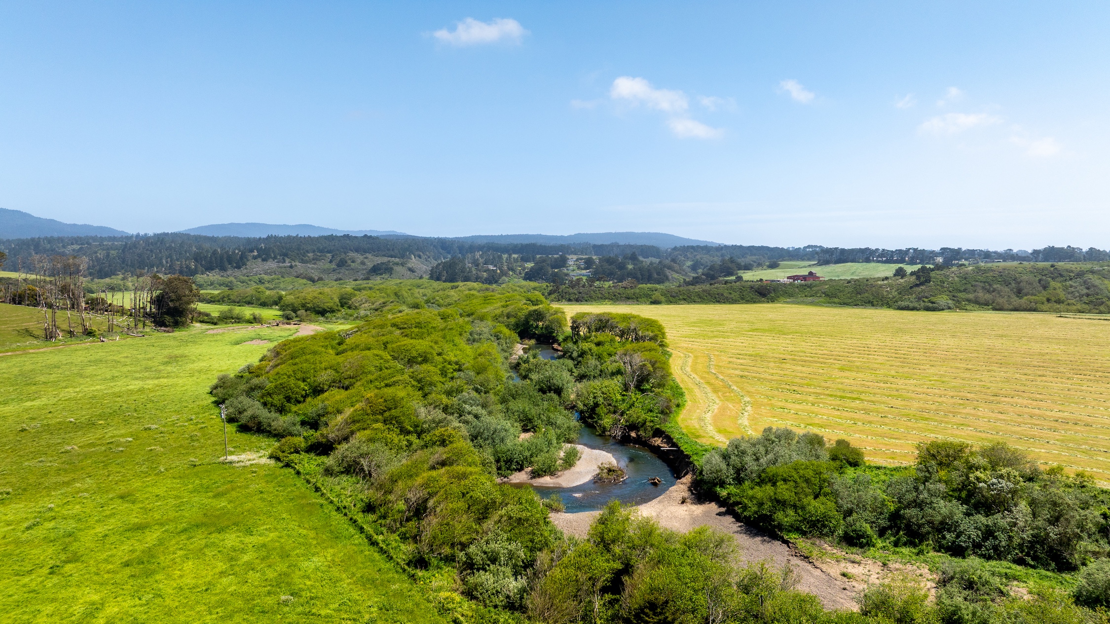 Listing Image 64