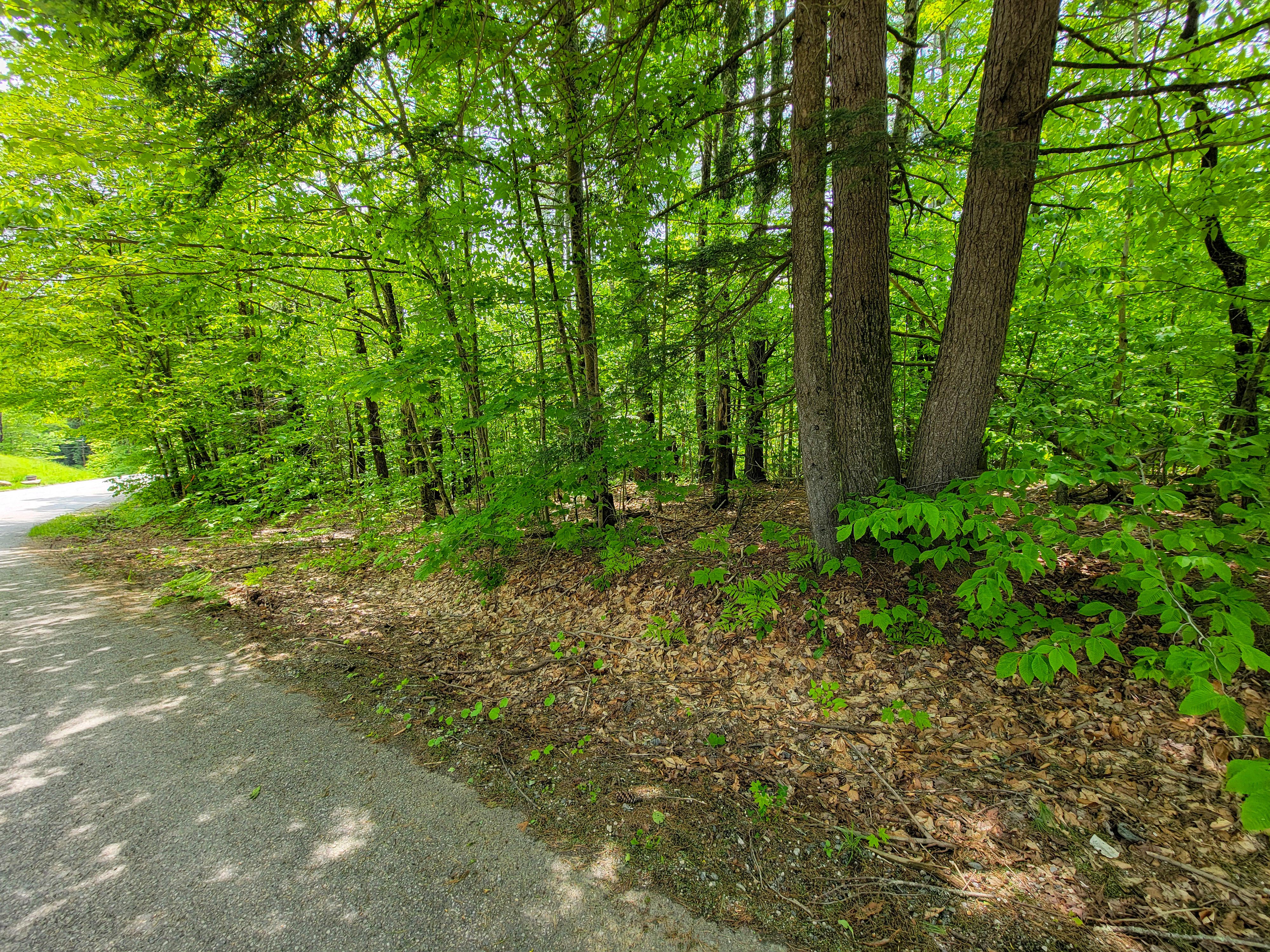 1105 South Hill Rd - Jamaica