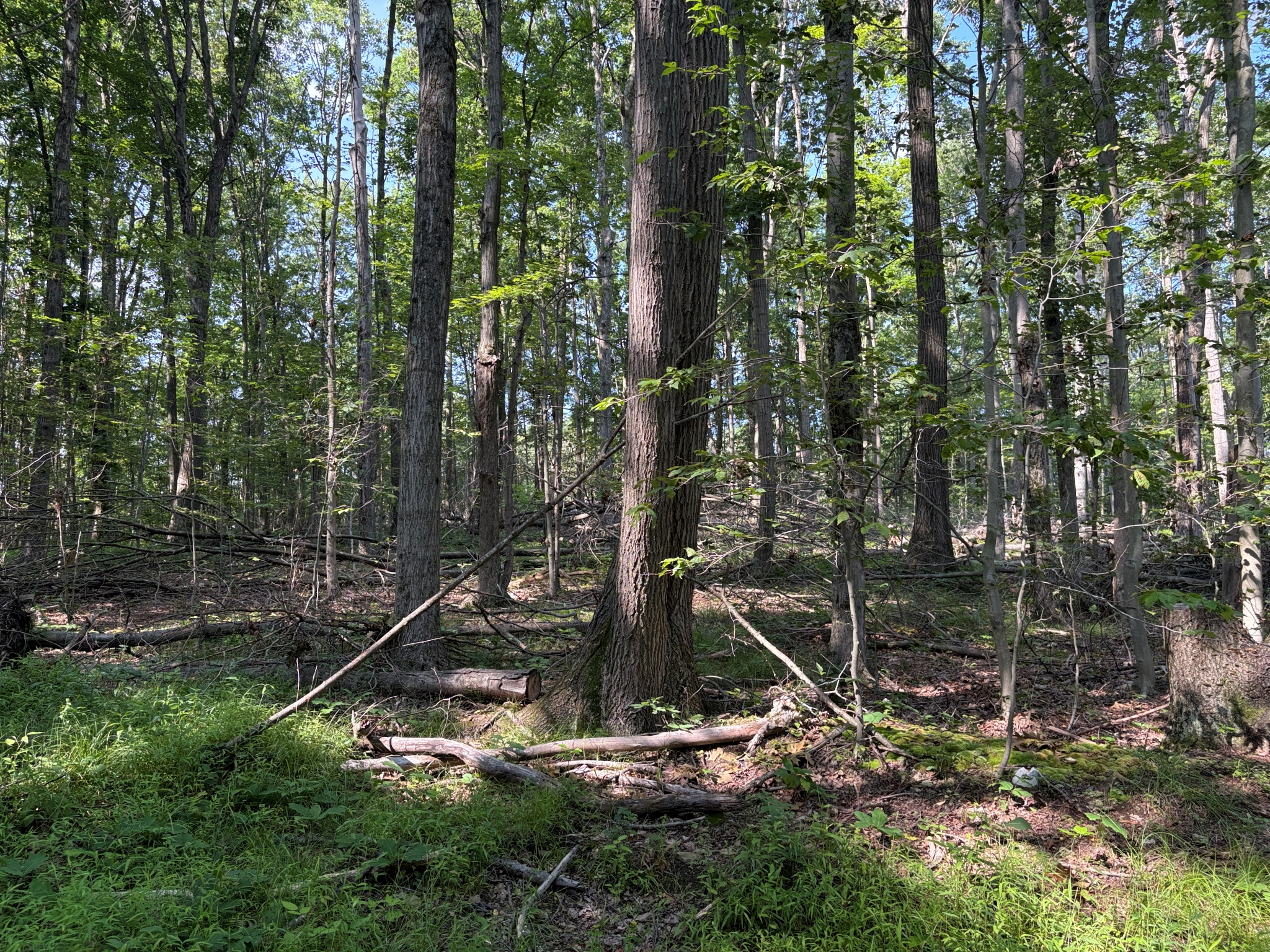 Listing Image 24