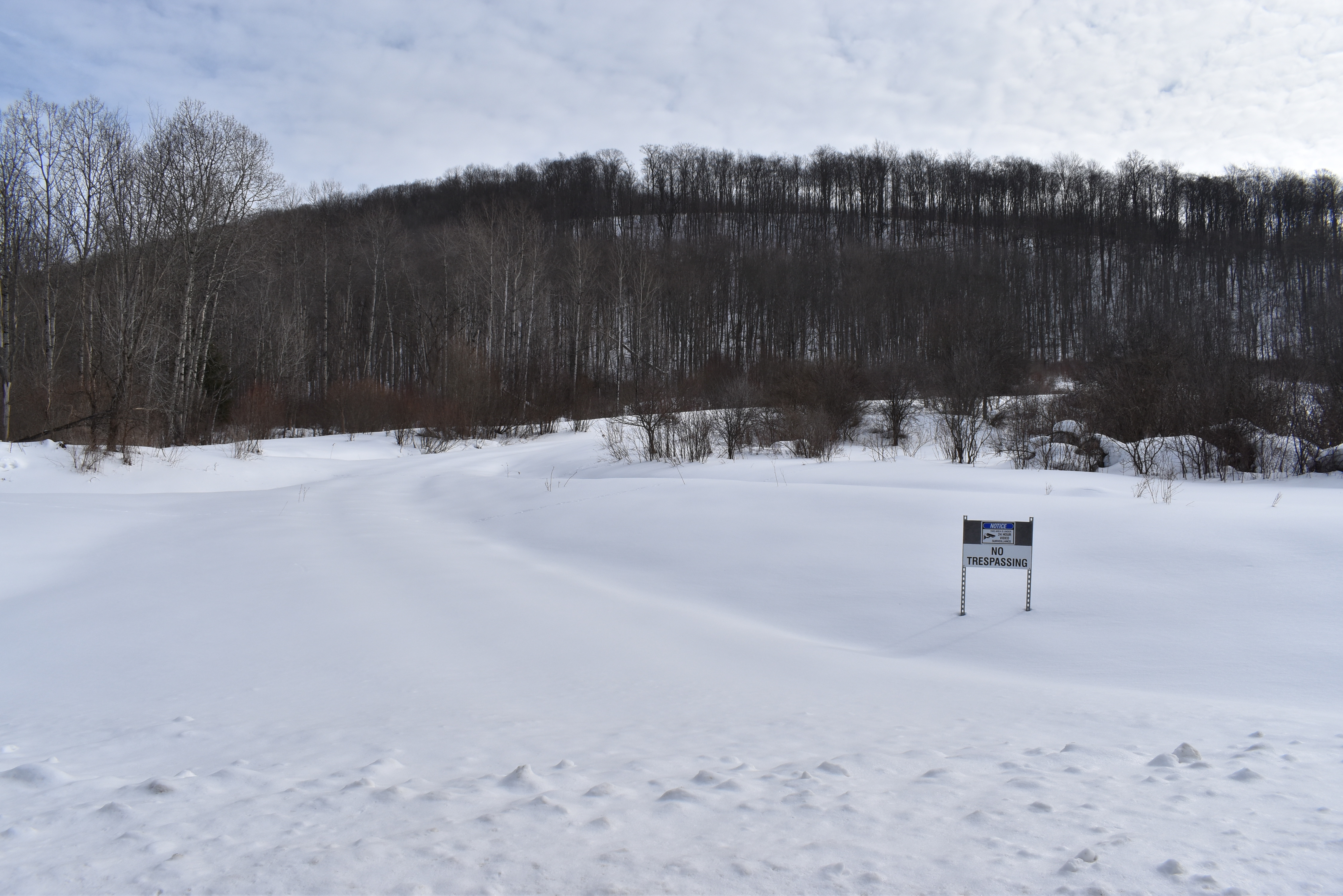 Morgan Hollow