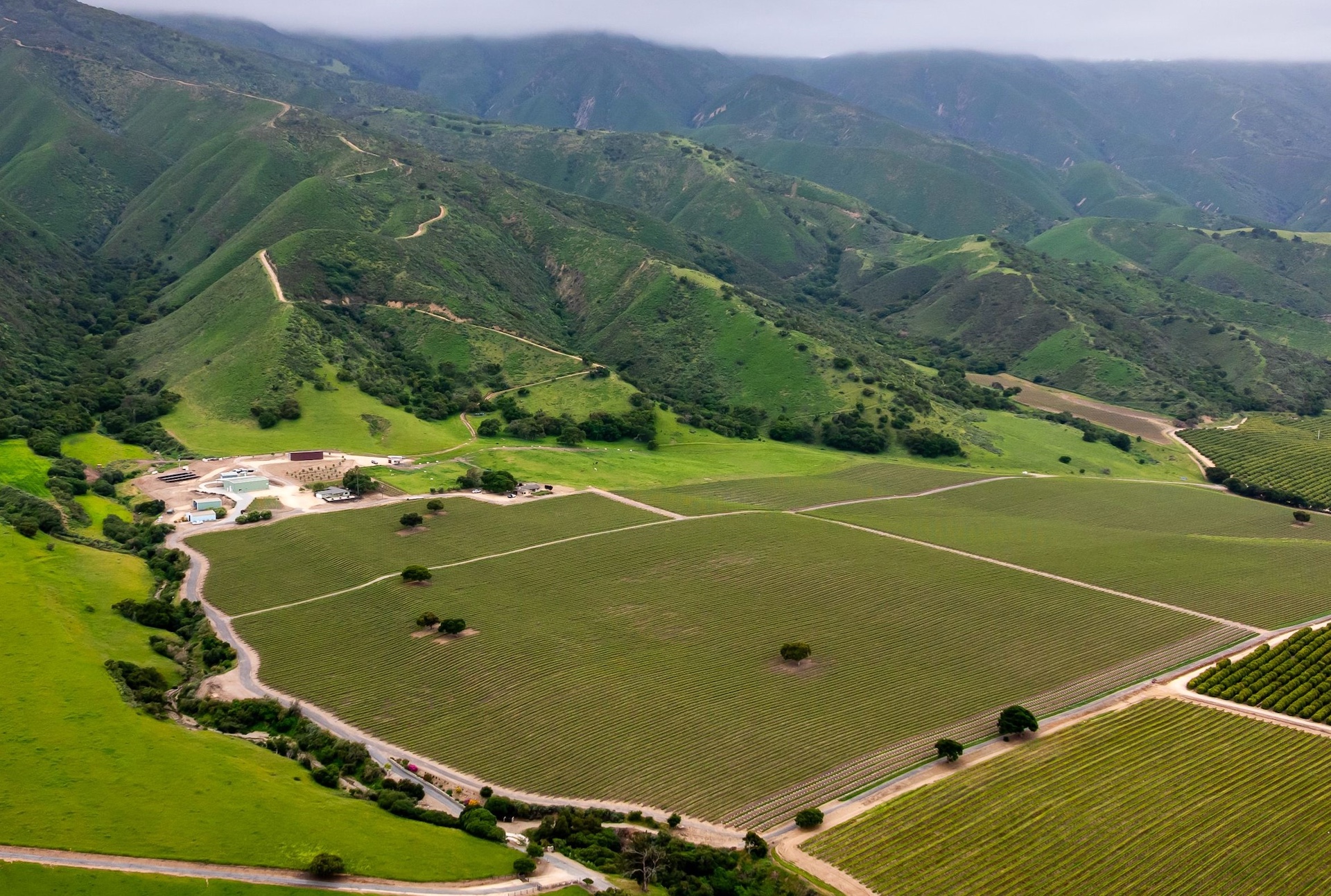 Boekenoogen Santa Lucia Highlands Vineyard