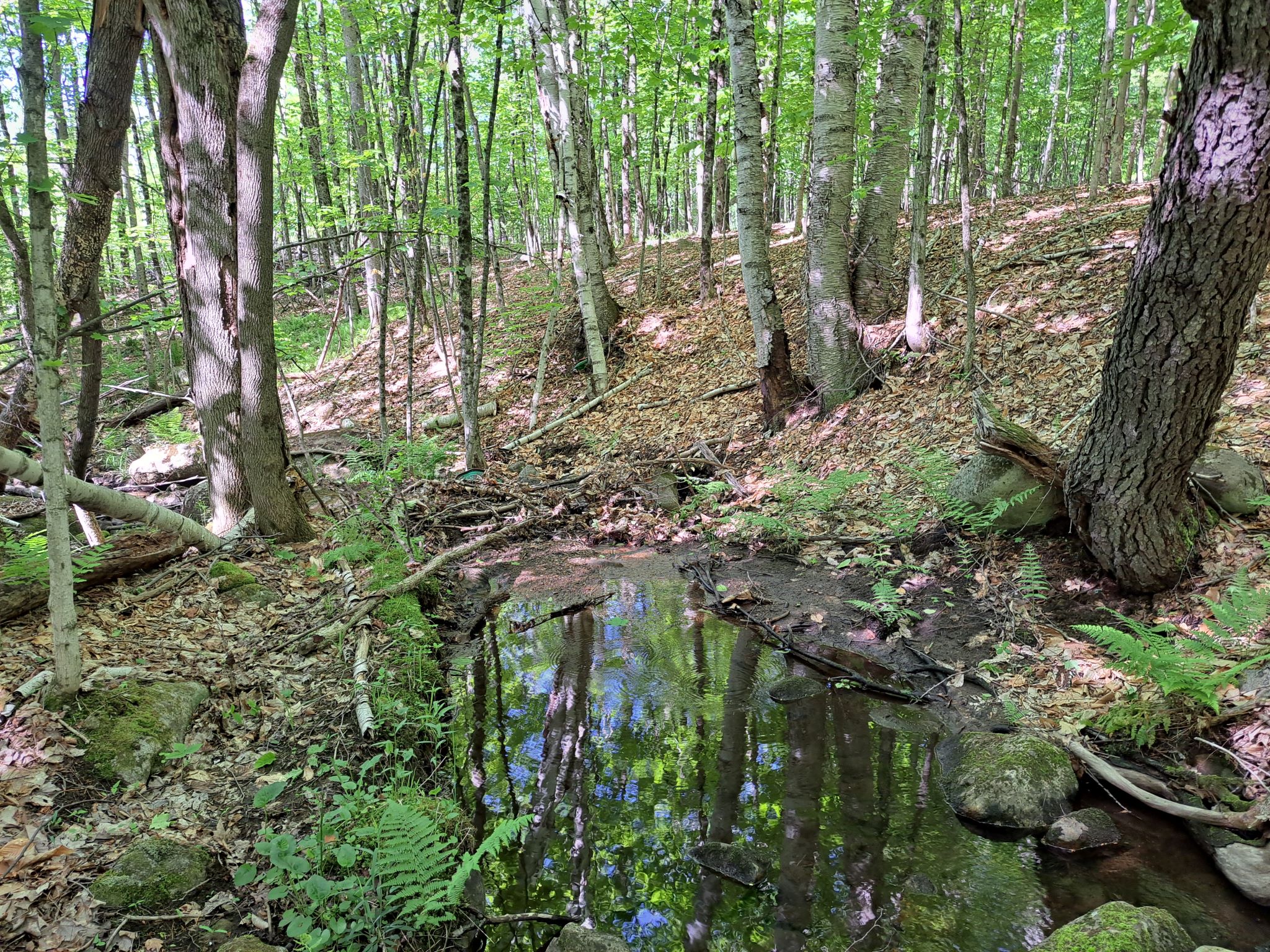 Listing Image 80