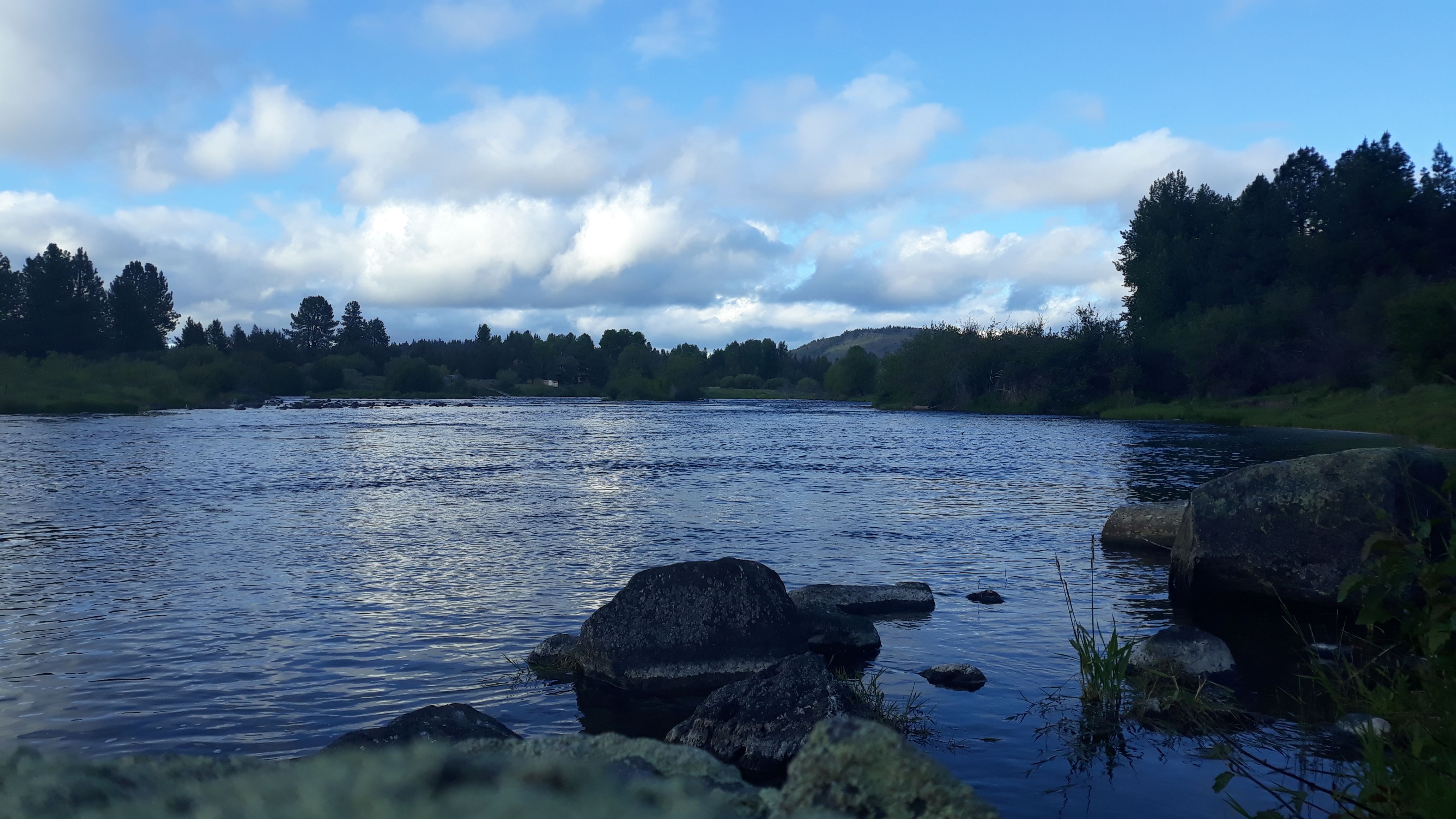 KIRCHER'S WHERE THE COLD-WATER RIVERS MEET THE MOUNTAINS Williamson/Sprague Rivers