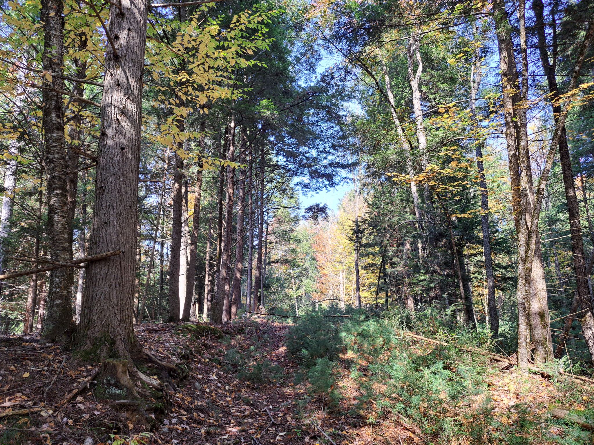 Listing Image 67