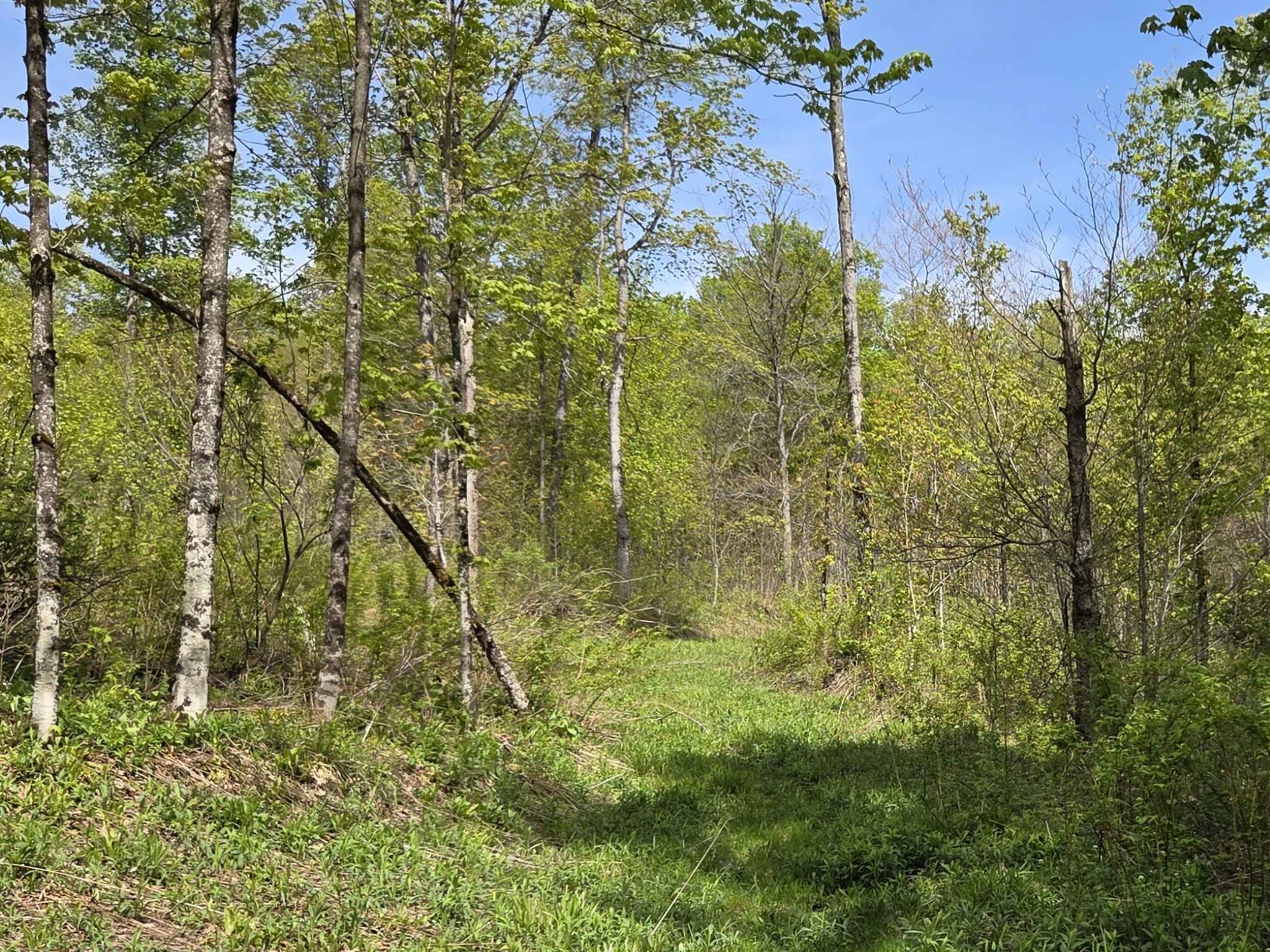 Listing Image 30
