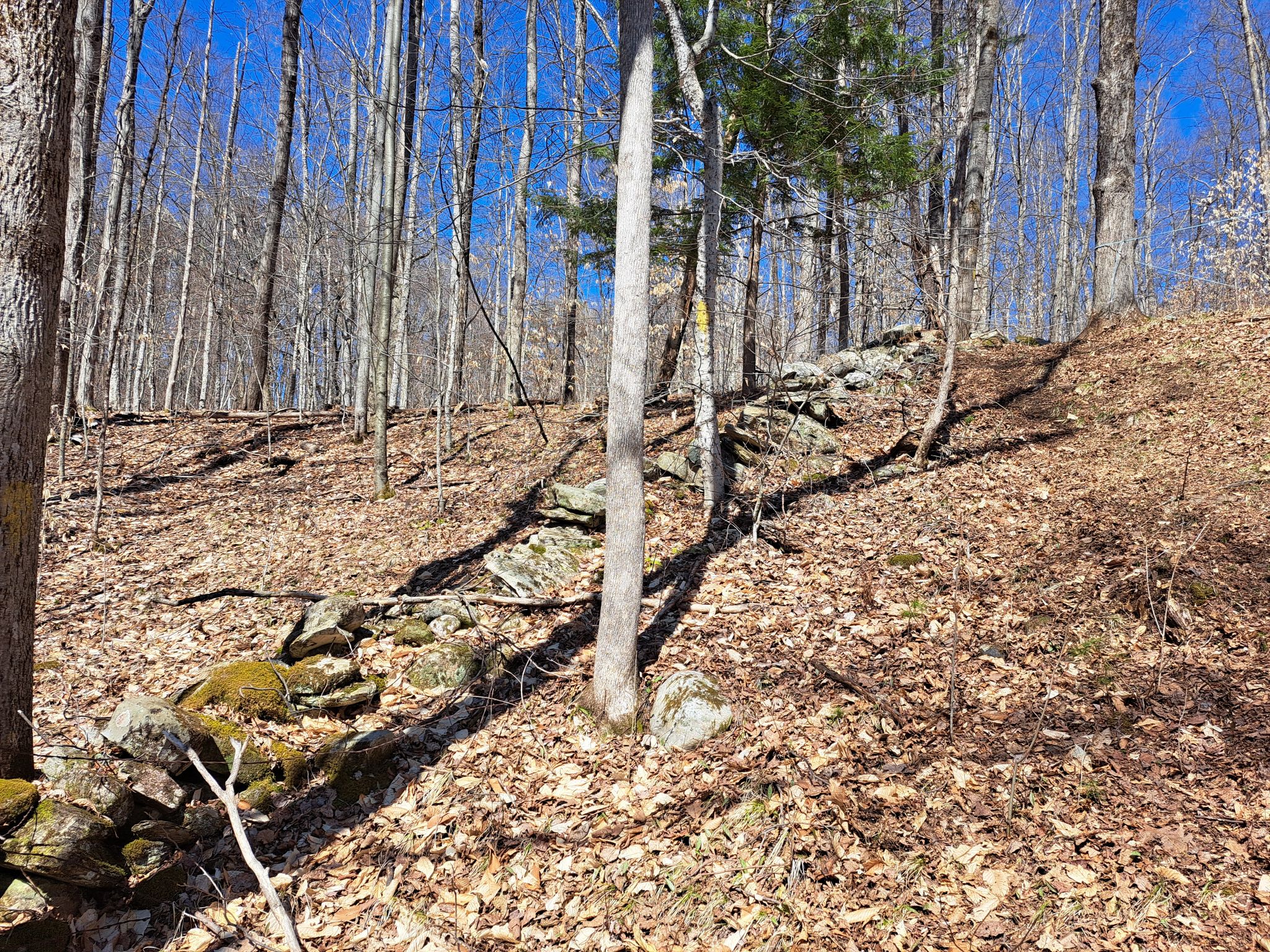 Listing Image 24