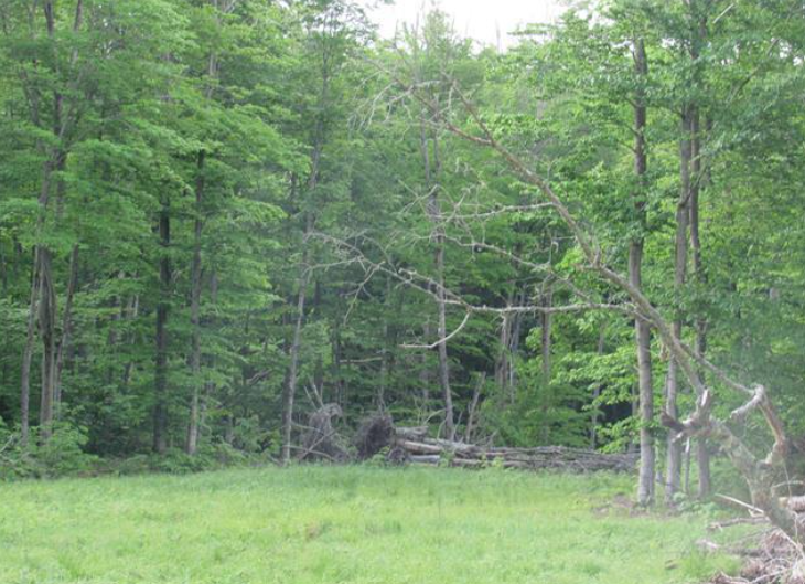 Listing Image 29