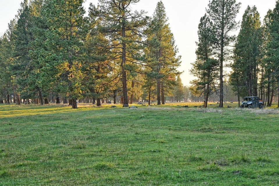 Listing Image 47