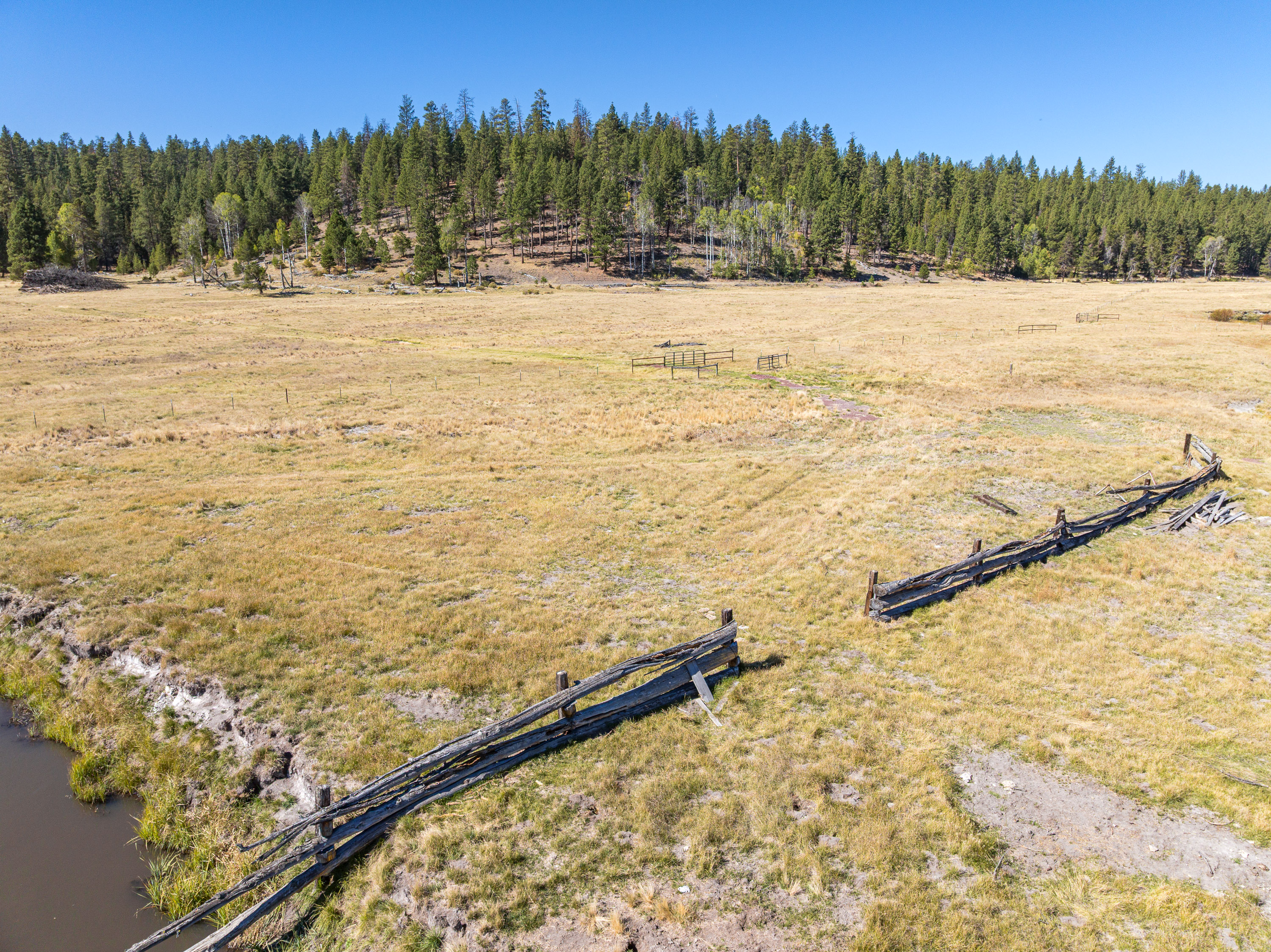 Listing Image 84