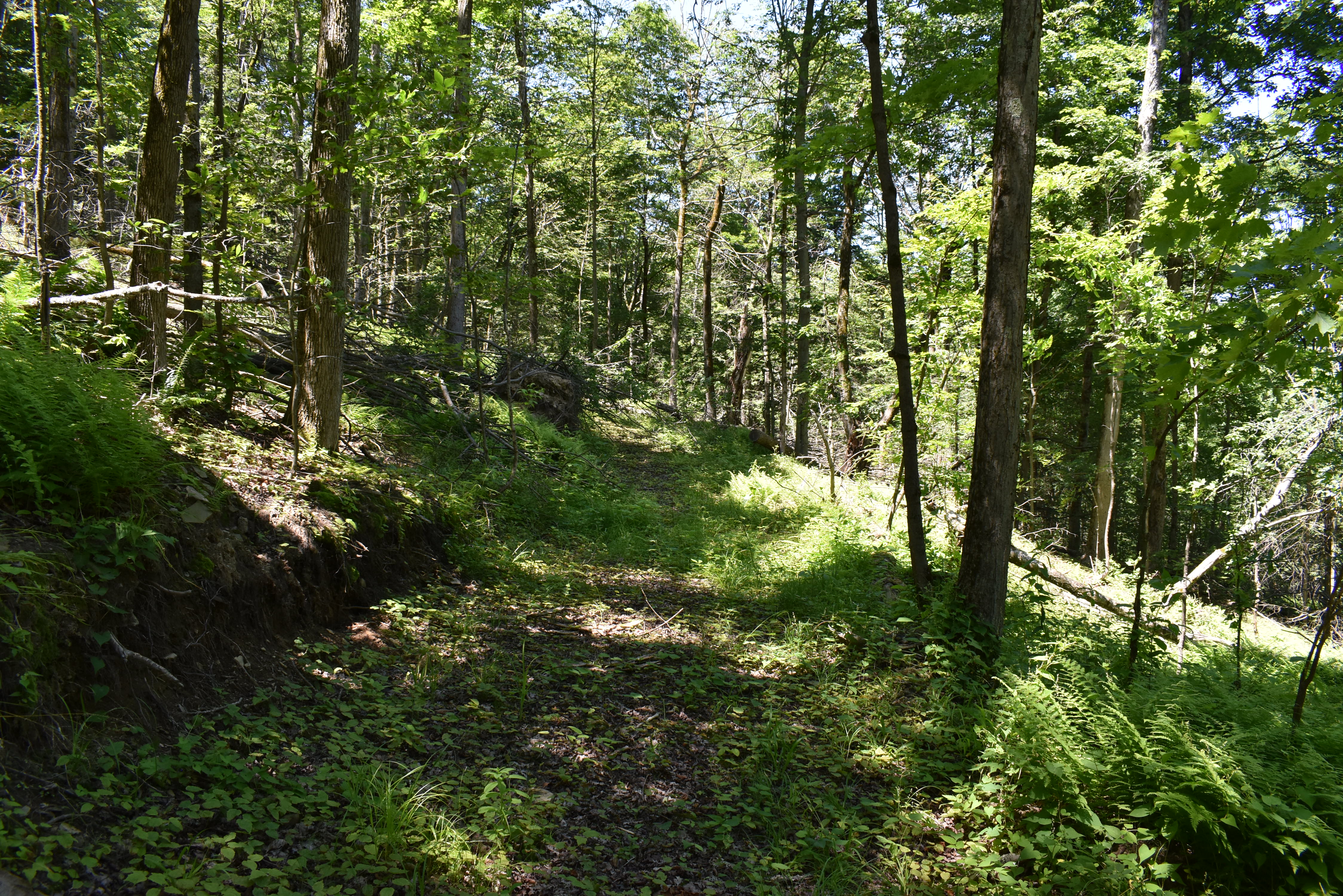 Fabulous Farrington Hollow