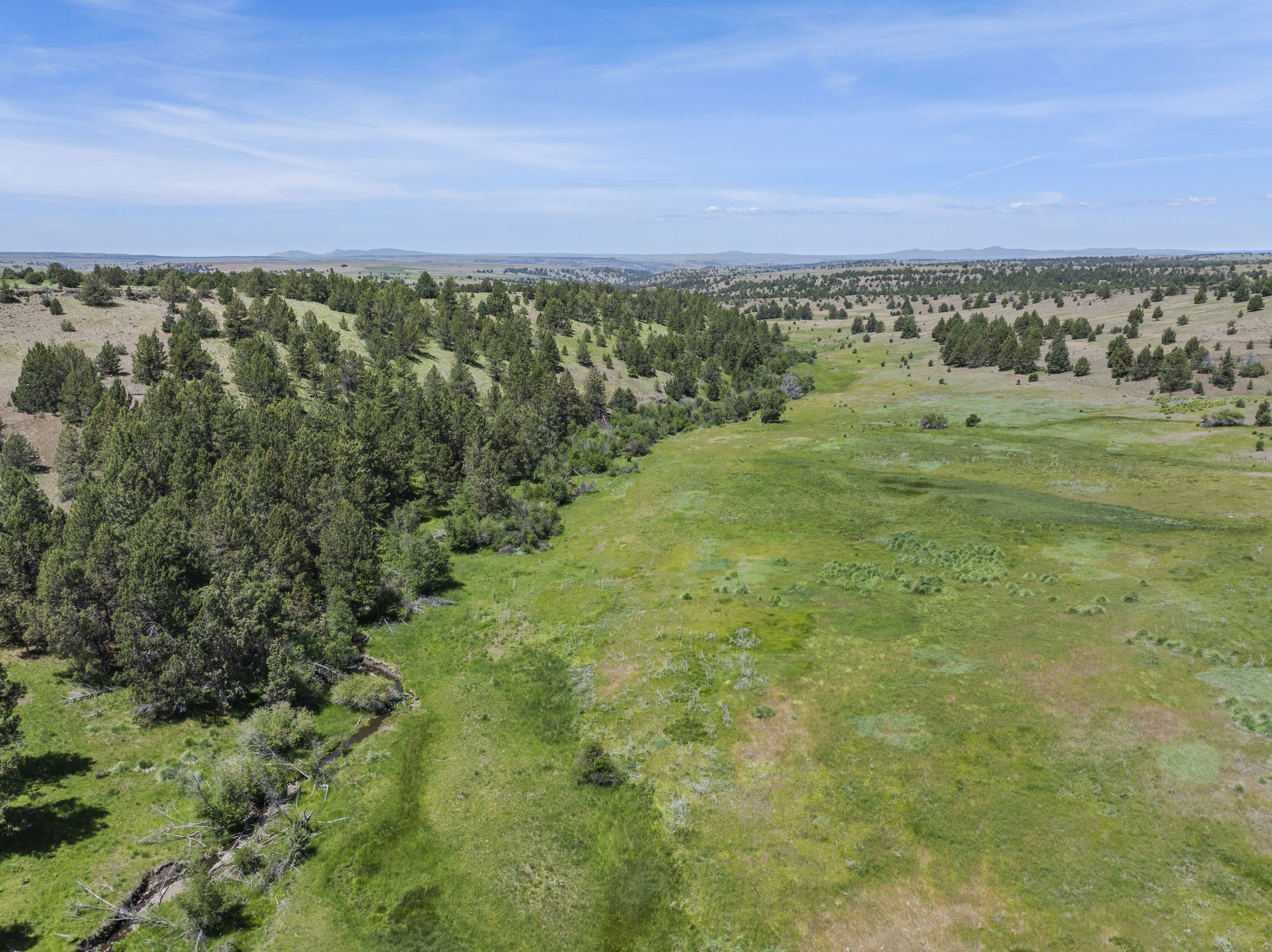 Listing Image 45