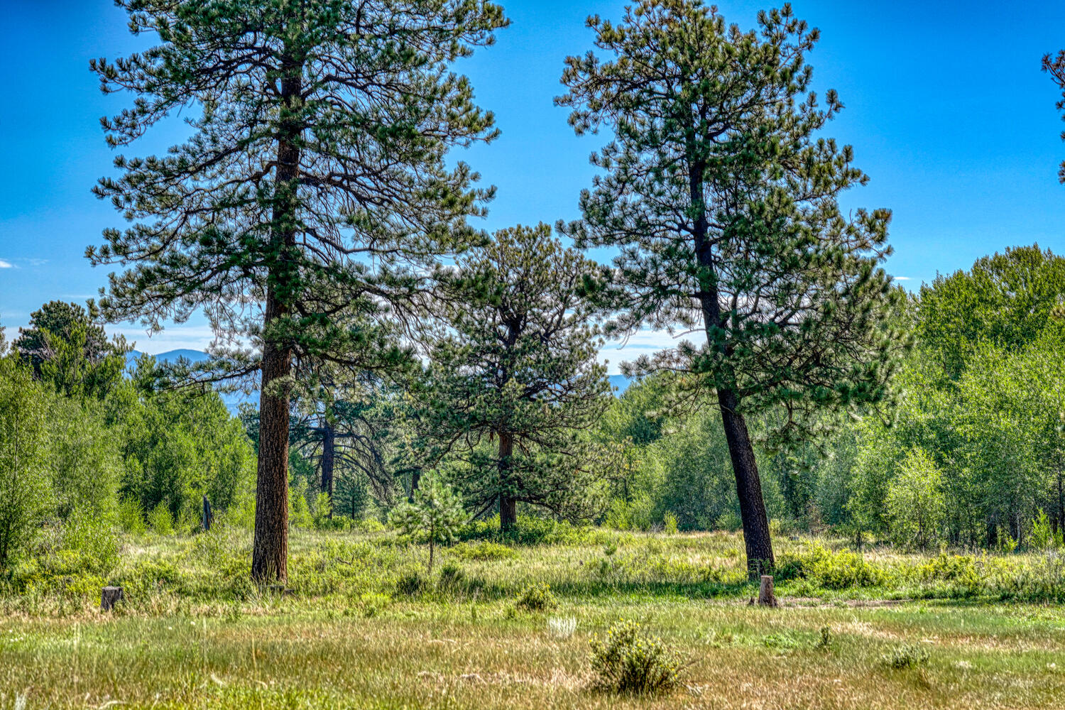 The historic Kelling homestead ranch.