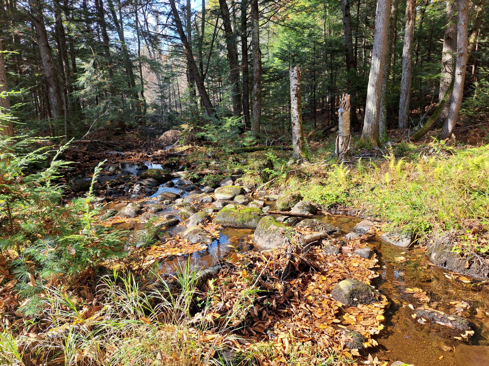 Listing Image 65