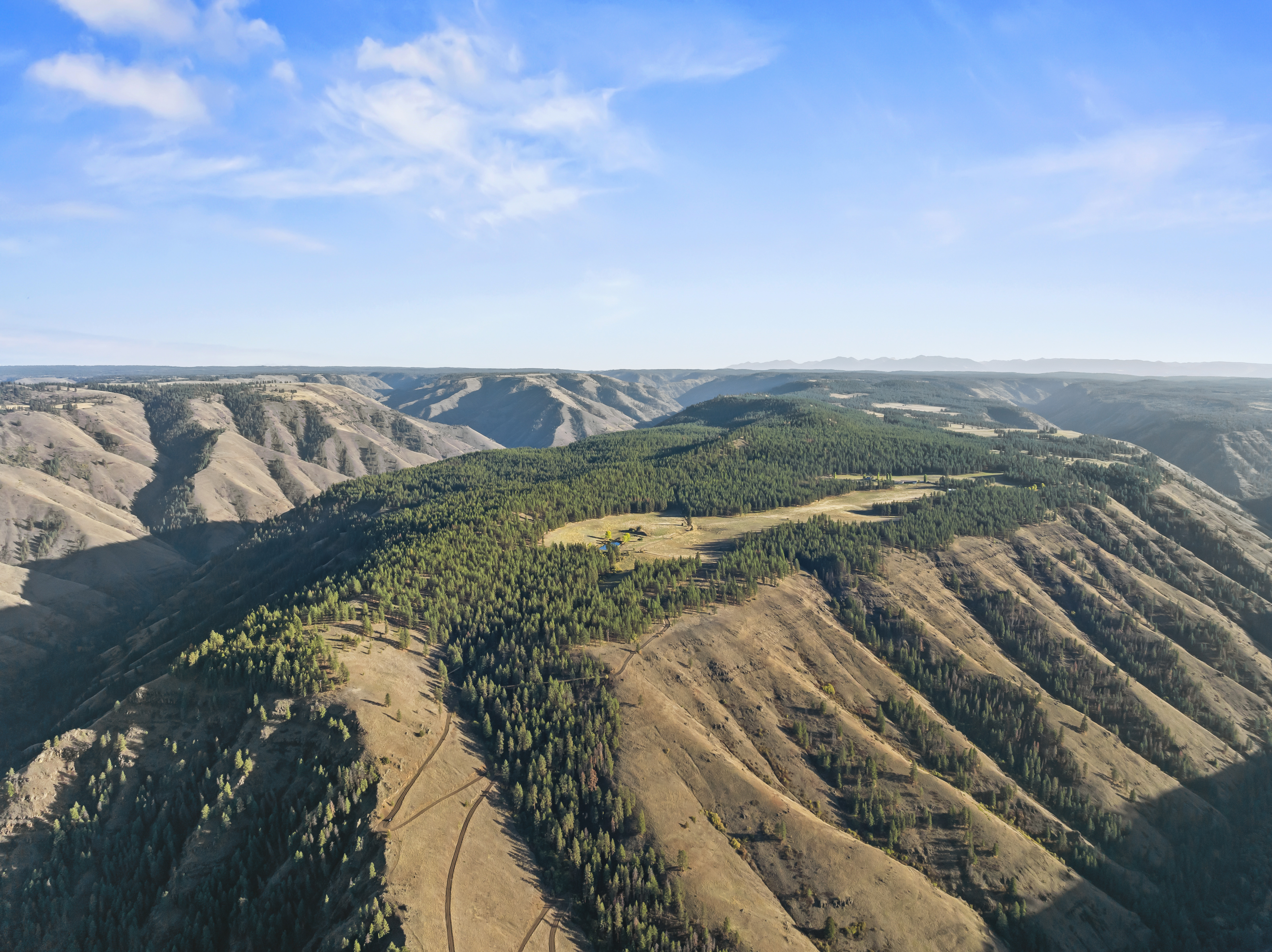 Listing Image 90