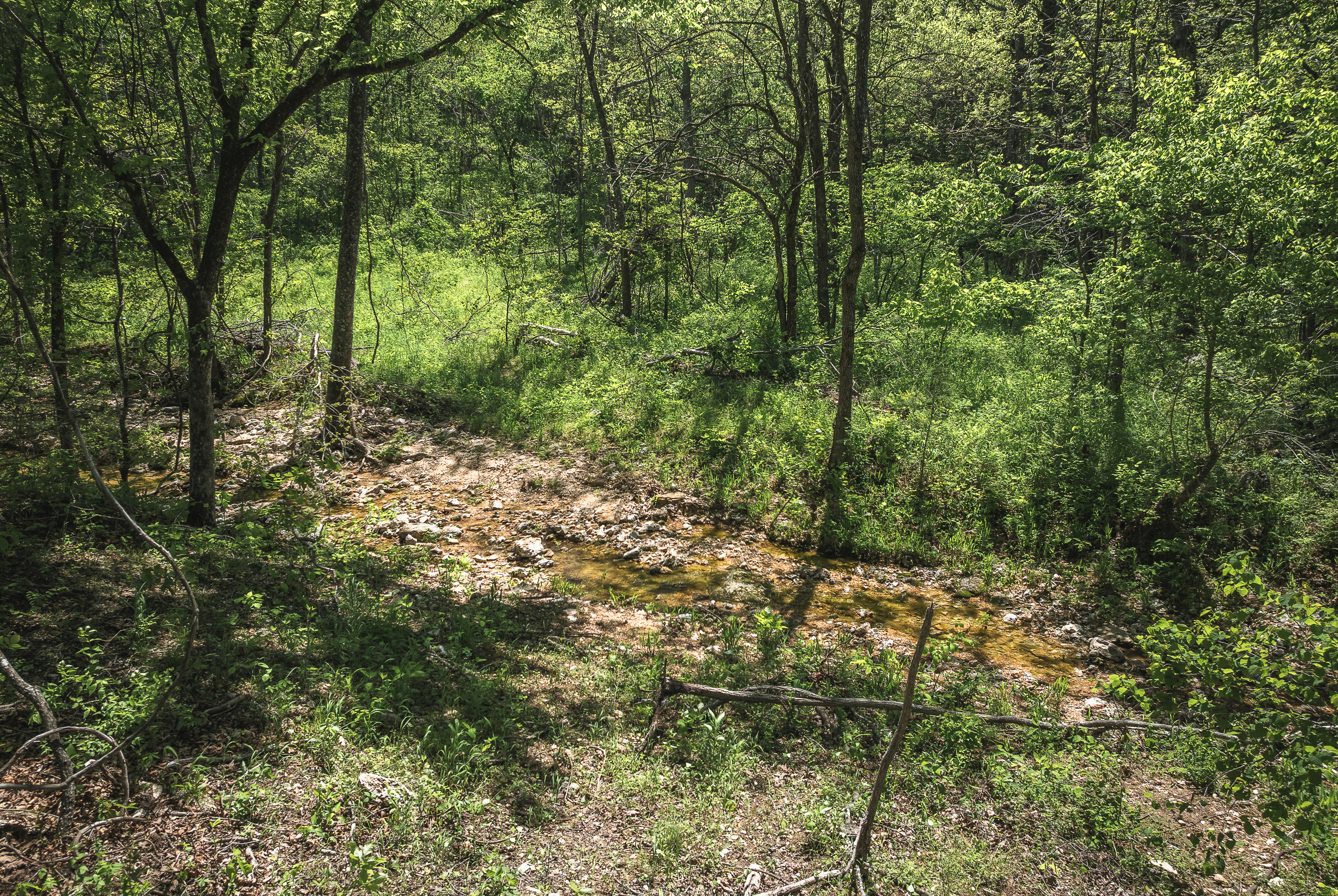 Listing Image 41