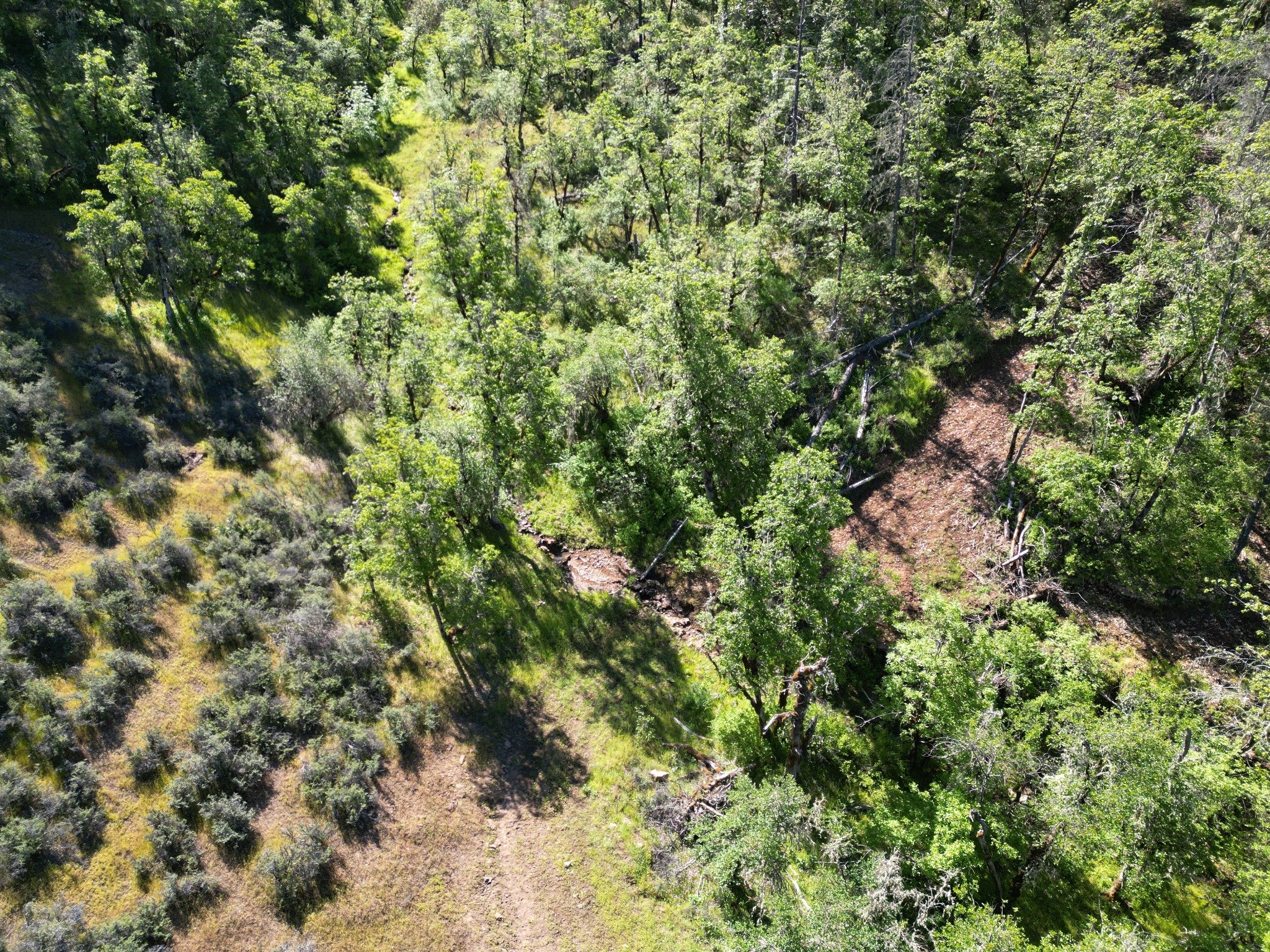 Elk Creek Road TL 3200