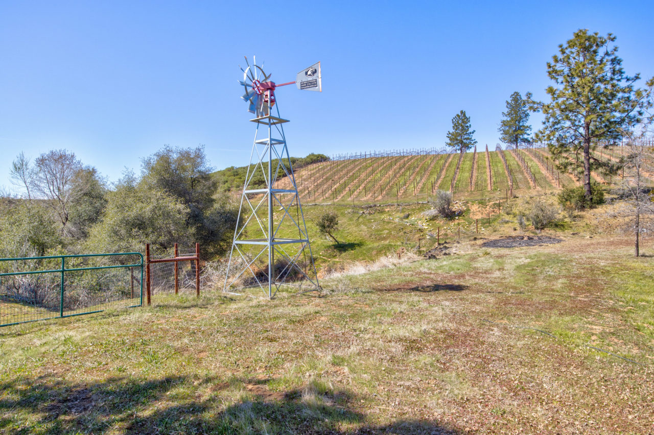 Tailem Bend Ranch and Vineyard