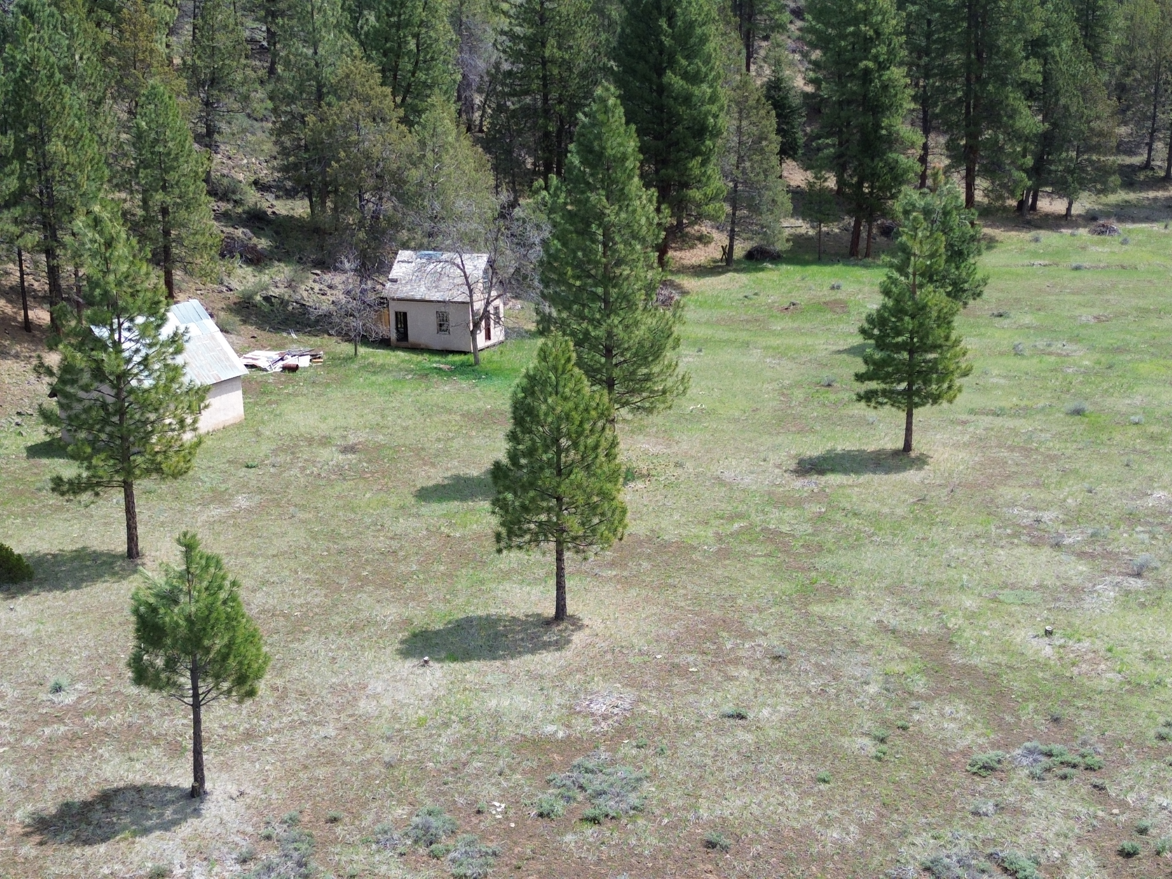 Johnson Creek Meadow
