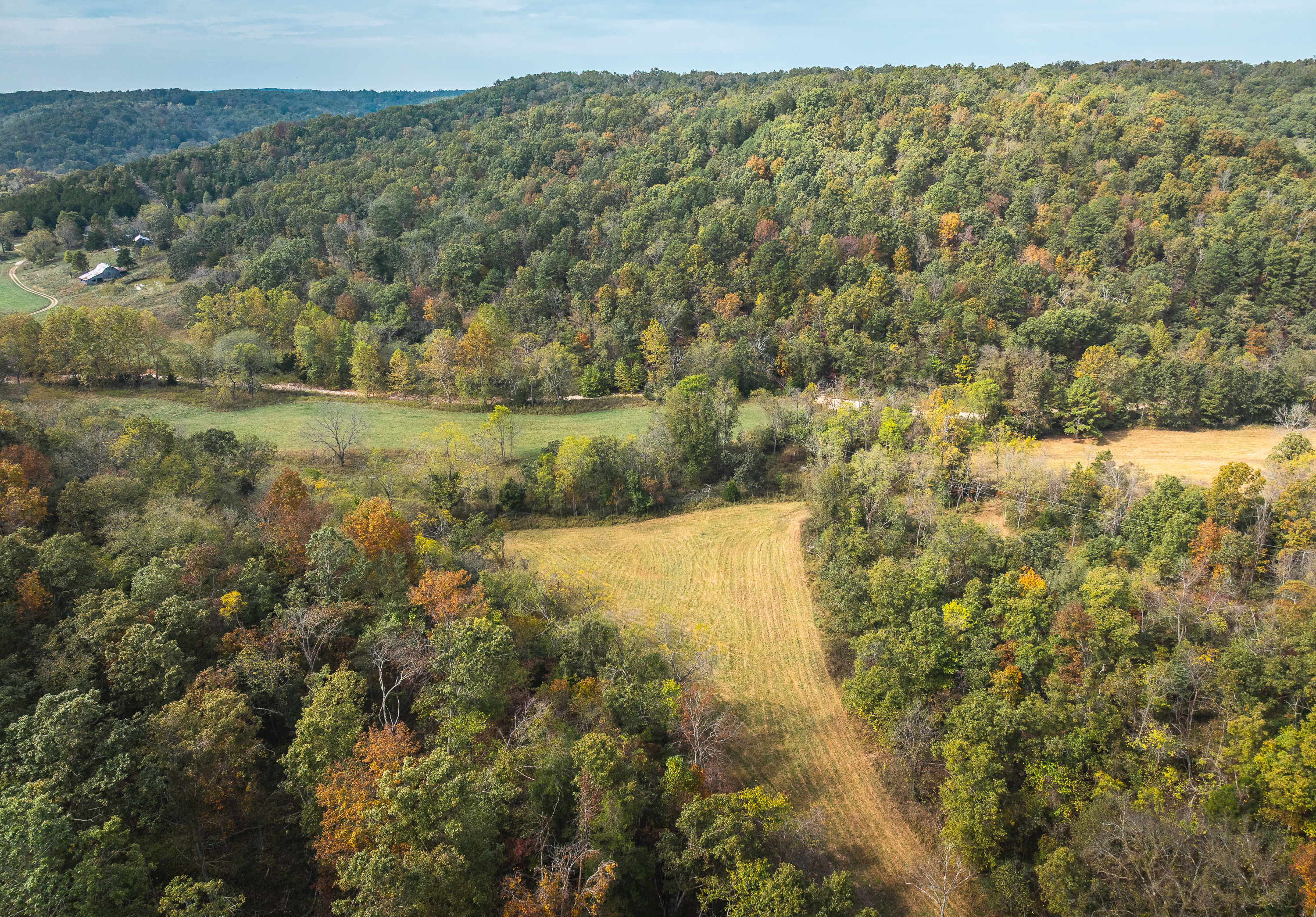 Little Gladden Creek Hunter