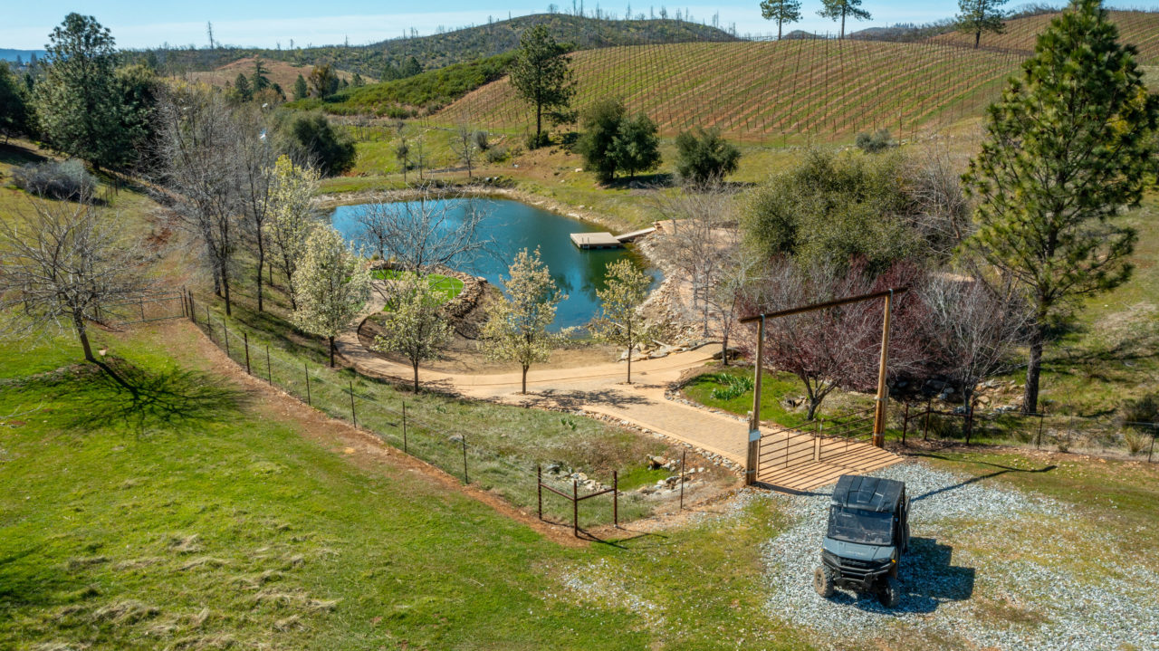 Tailem Bend Ranch and Vineyard