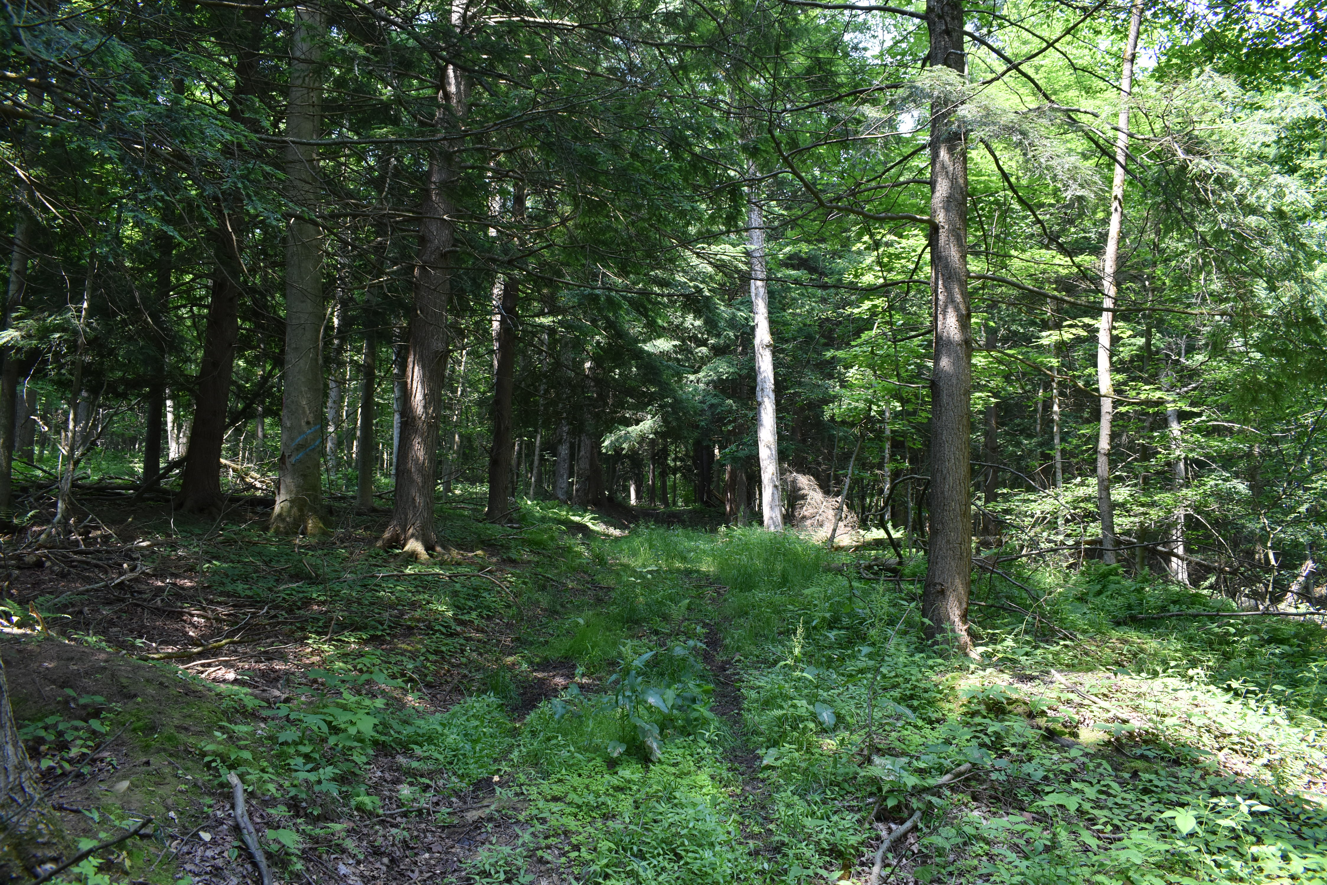 Listing Image 73