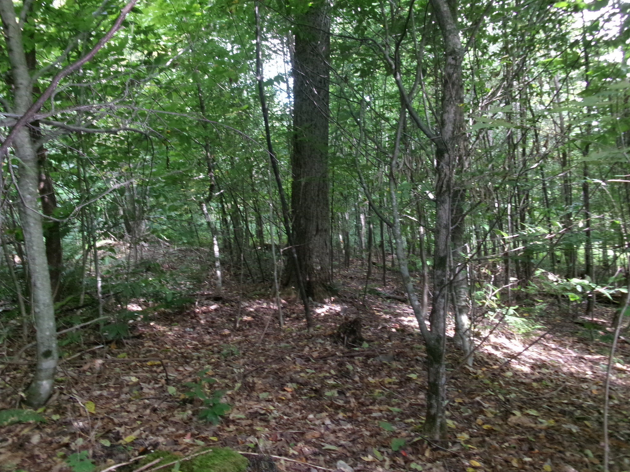 Listing Image 28