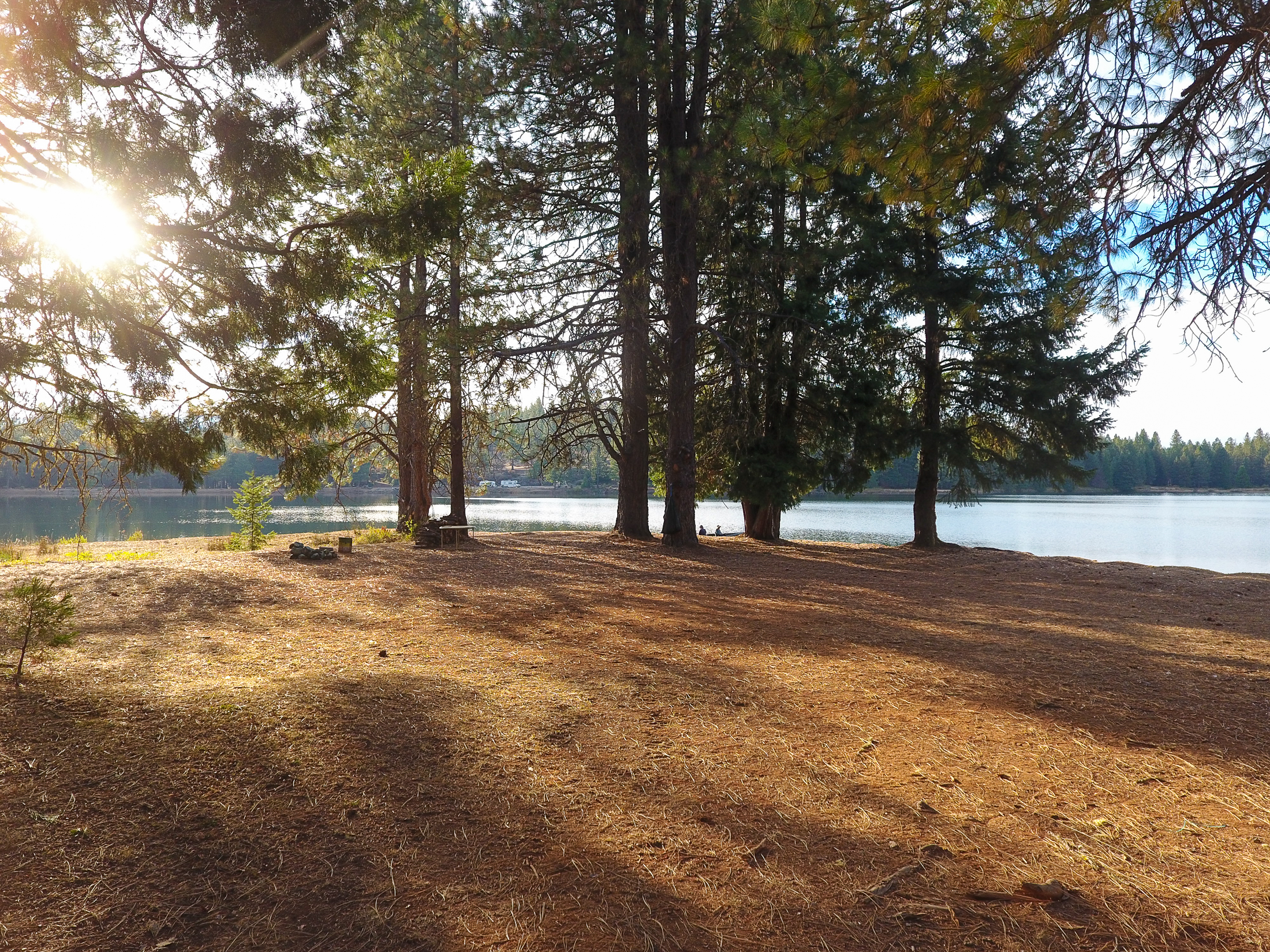 Medco Pond- Recreational Retreat