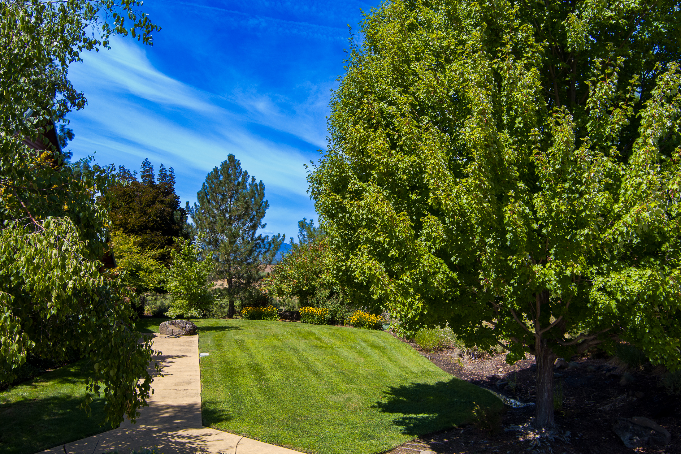 Listing Image 93