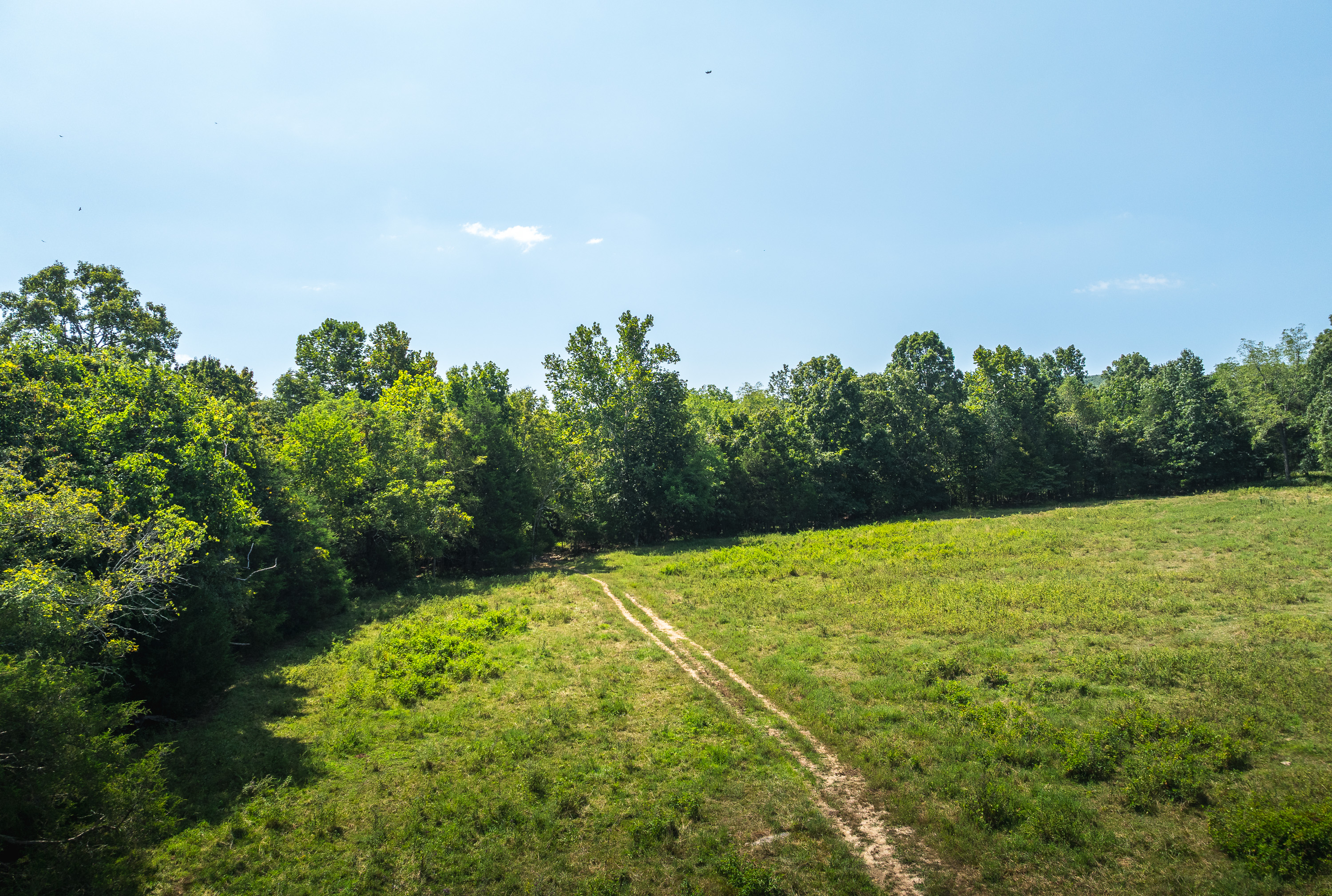 420 Acre Farm on Stouts Creek