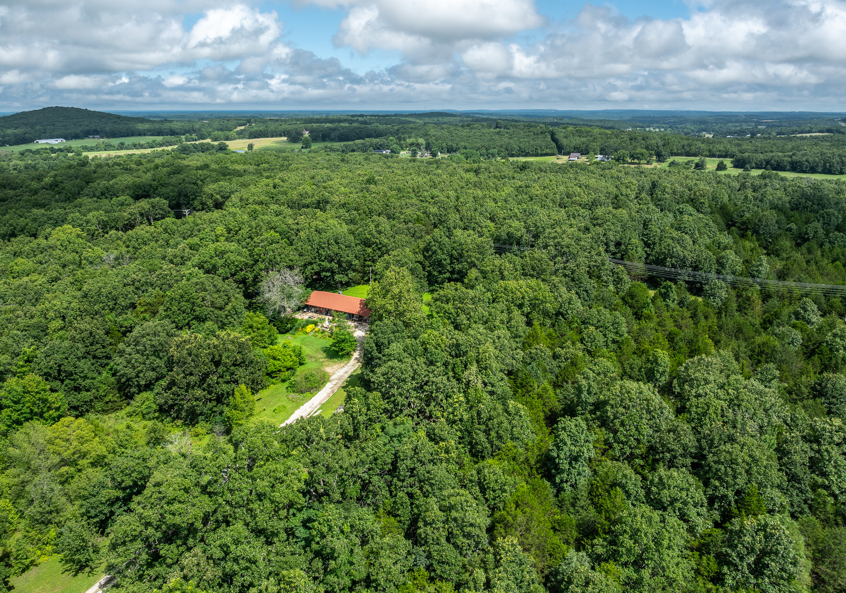 Verdant Bloom Retreat